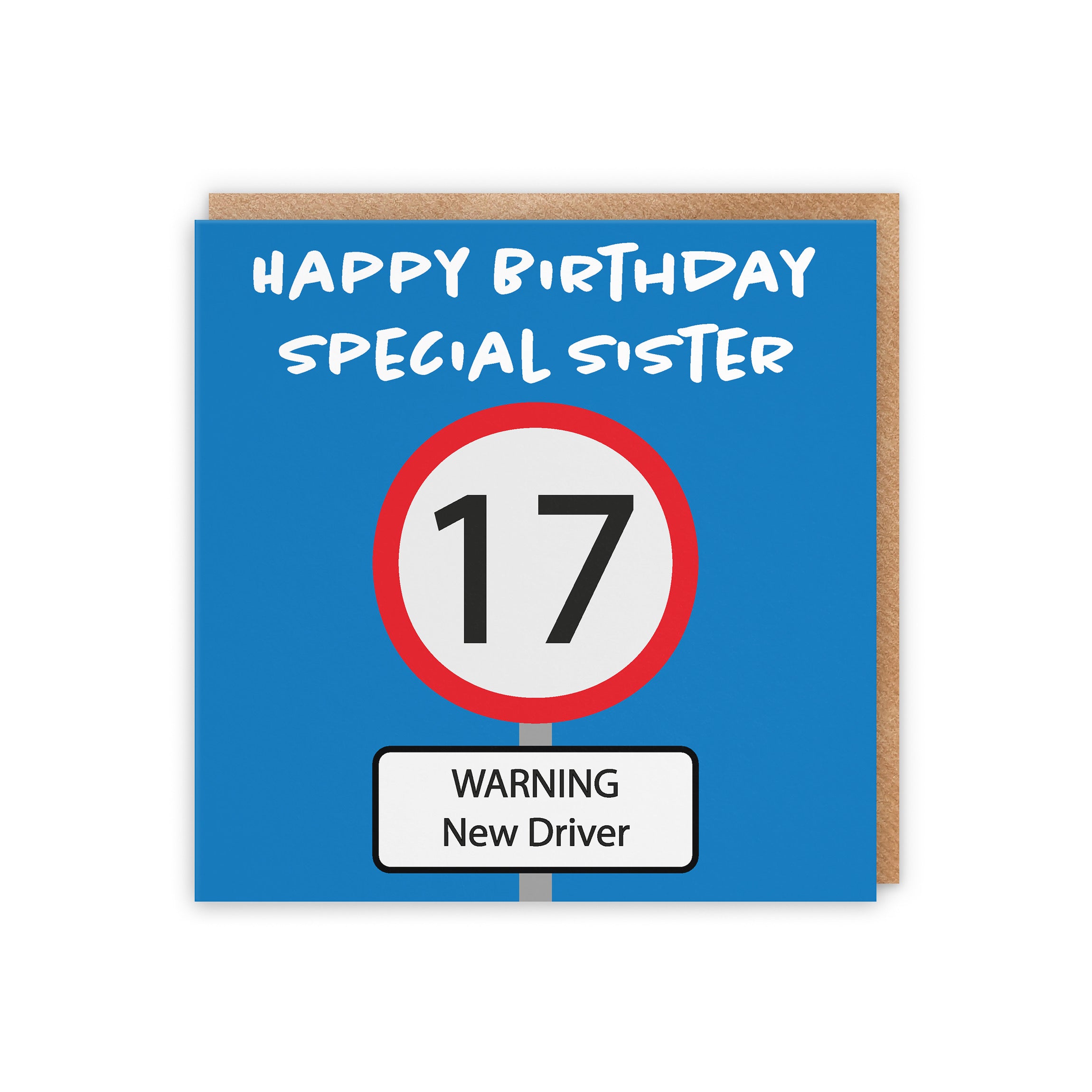 17th Sister Birthday Card Road Sign - Default Title (5056408124263)
