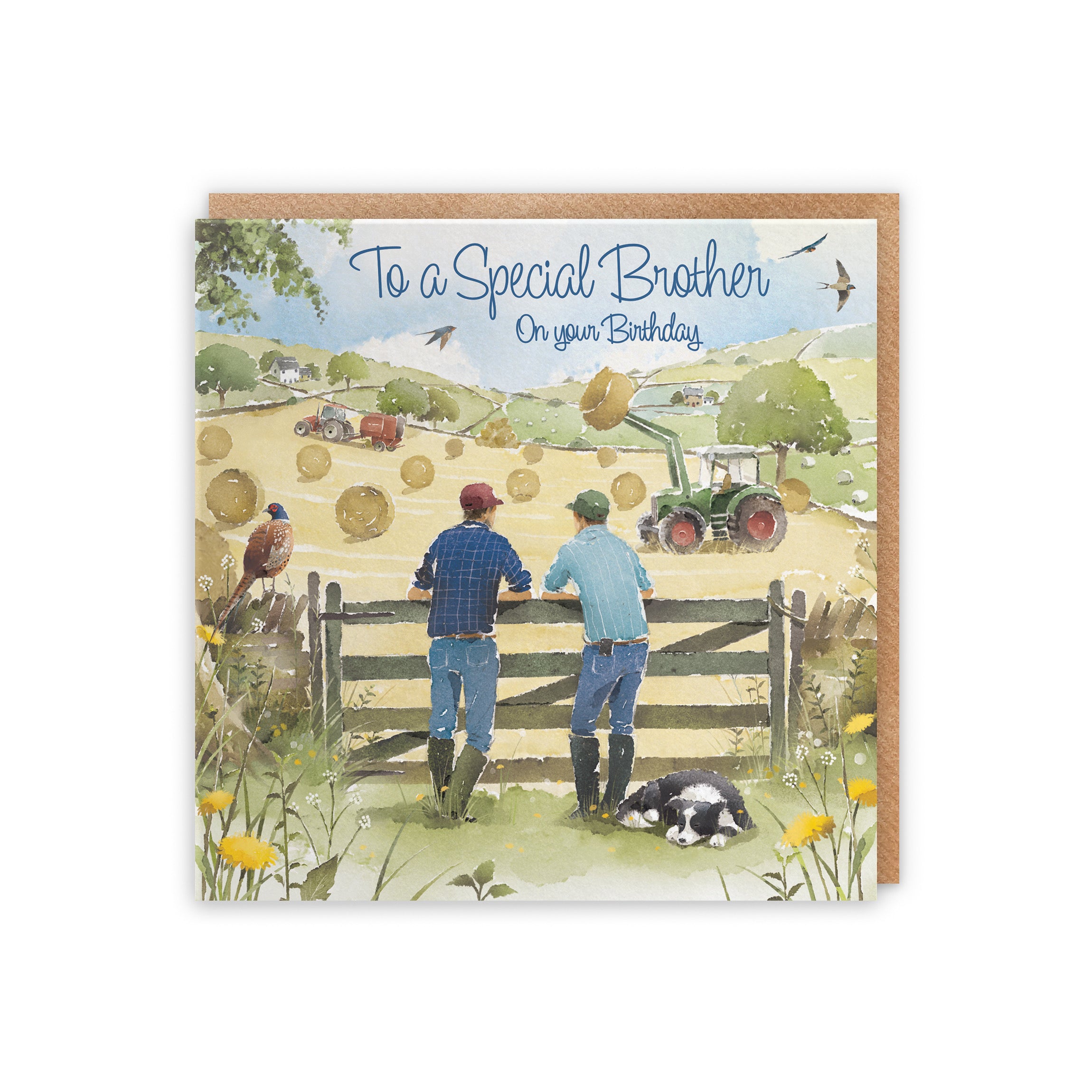Brother Birthday Card Haymaking Milo's Gallery - Default Title (5056408173162)
