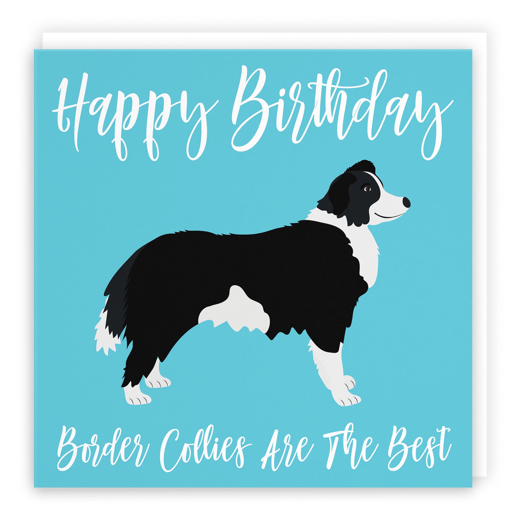Border Collie Birthday Card Iconic - Default Title (B084NXW867)