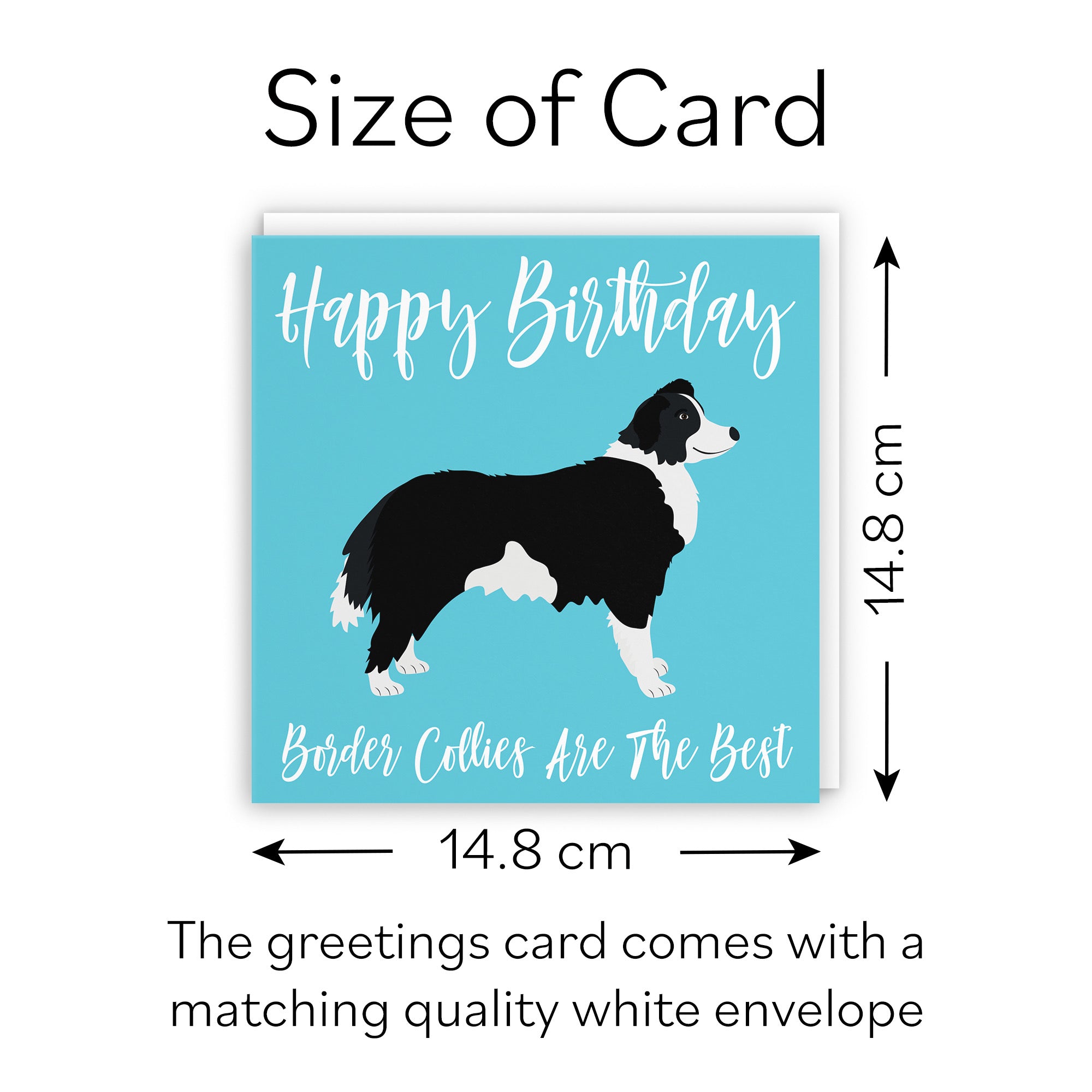 Border Collie Birthday Card Iconic - Default Title (B084NXW867)