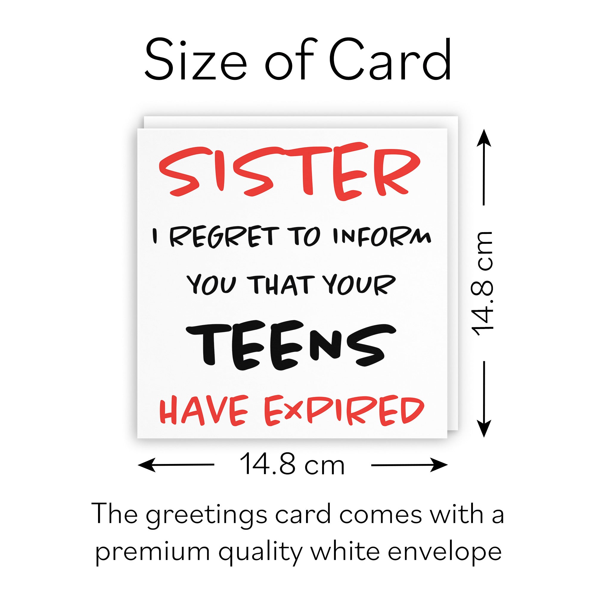 20th Sister Humorous Birthday Card Retro - Default Title (B08H1DMD49)