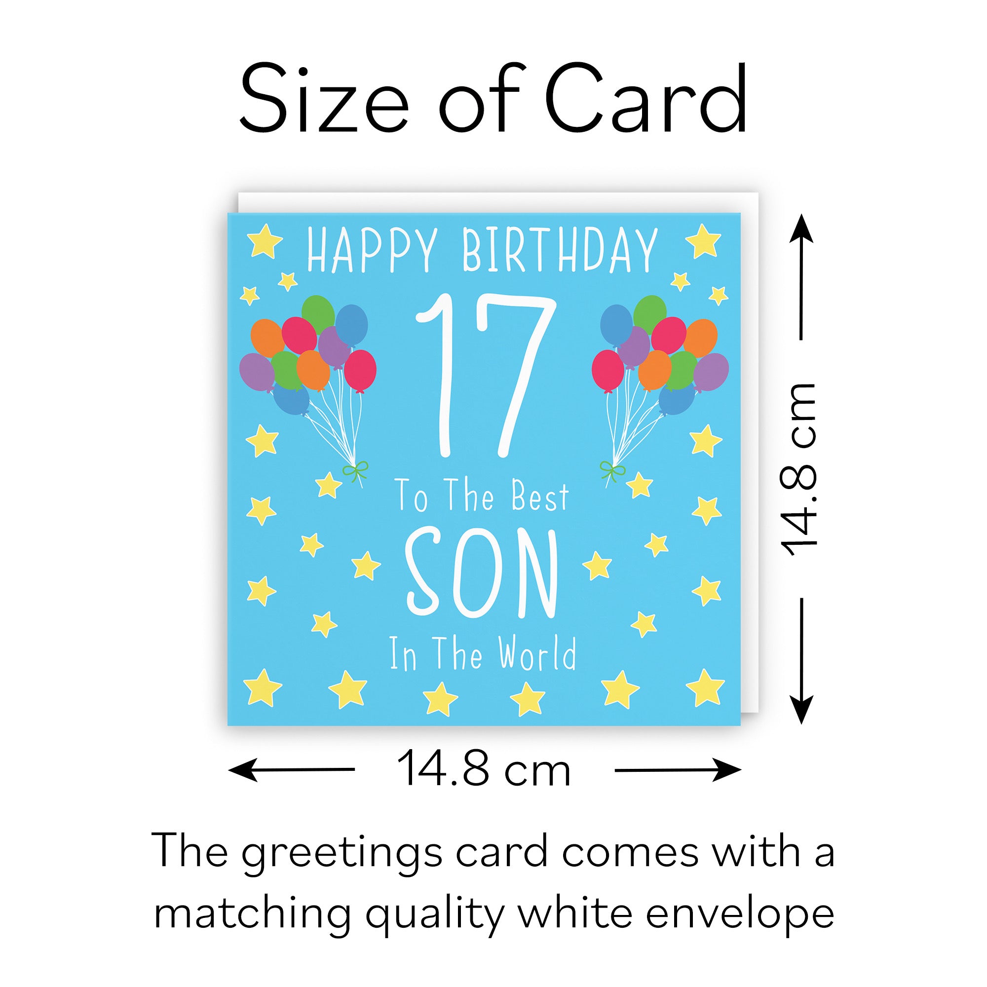 17th Son Birthday Card Iconic - Default Title (B08JZGMVD2)