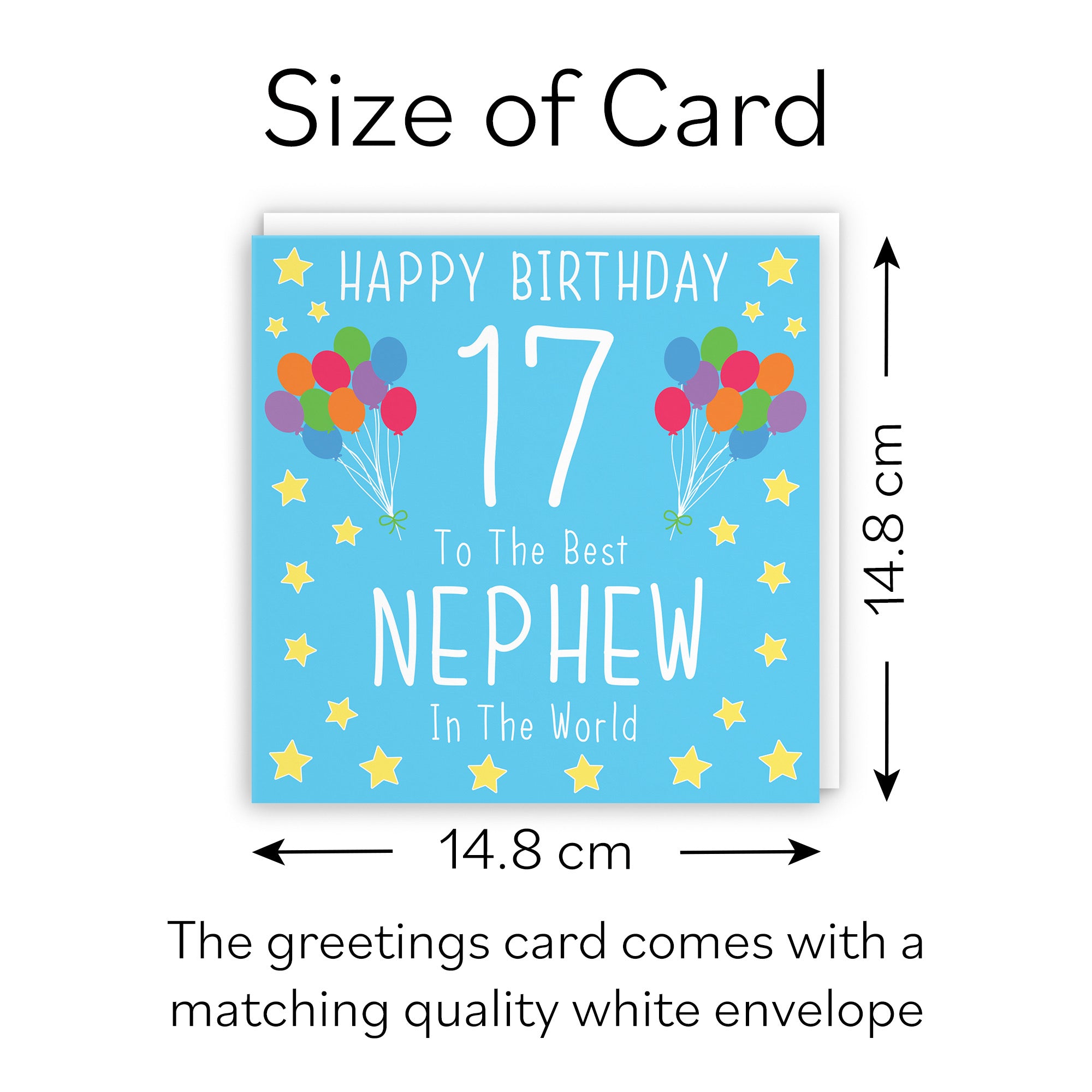 17th Nephew Birthday Card Iconic - Default Title (B08K2GNQ67)