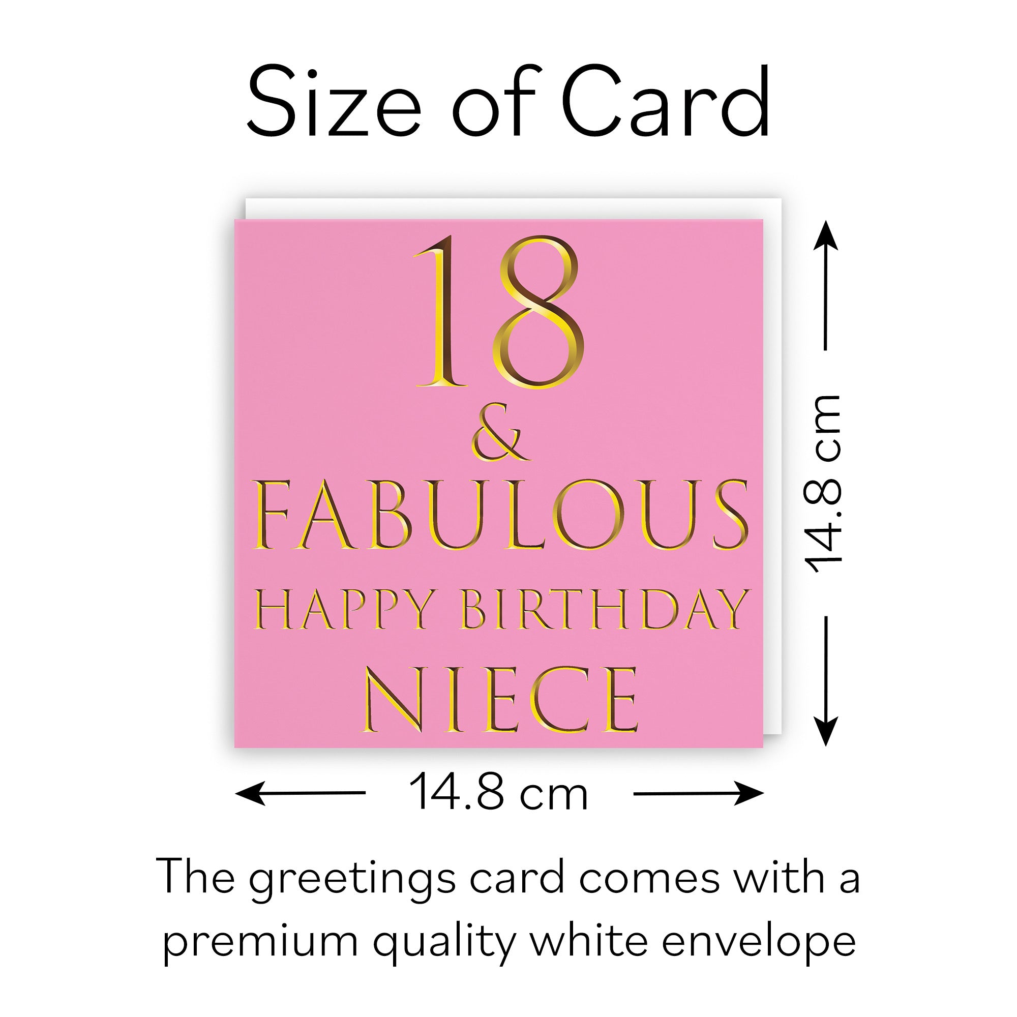 18th Niece Birthday Card Still Totally Fabulous - Default Title (B08KY7CVZX)