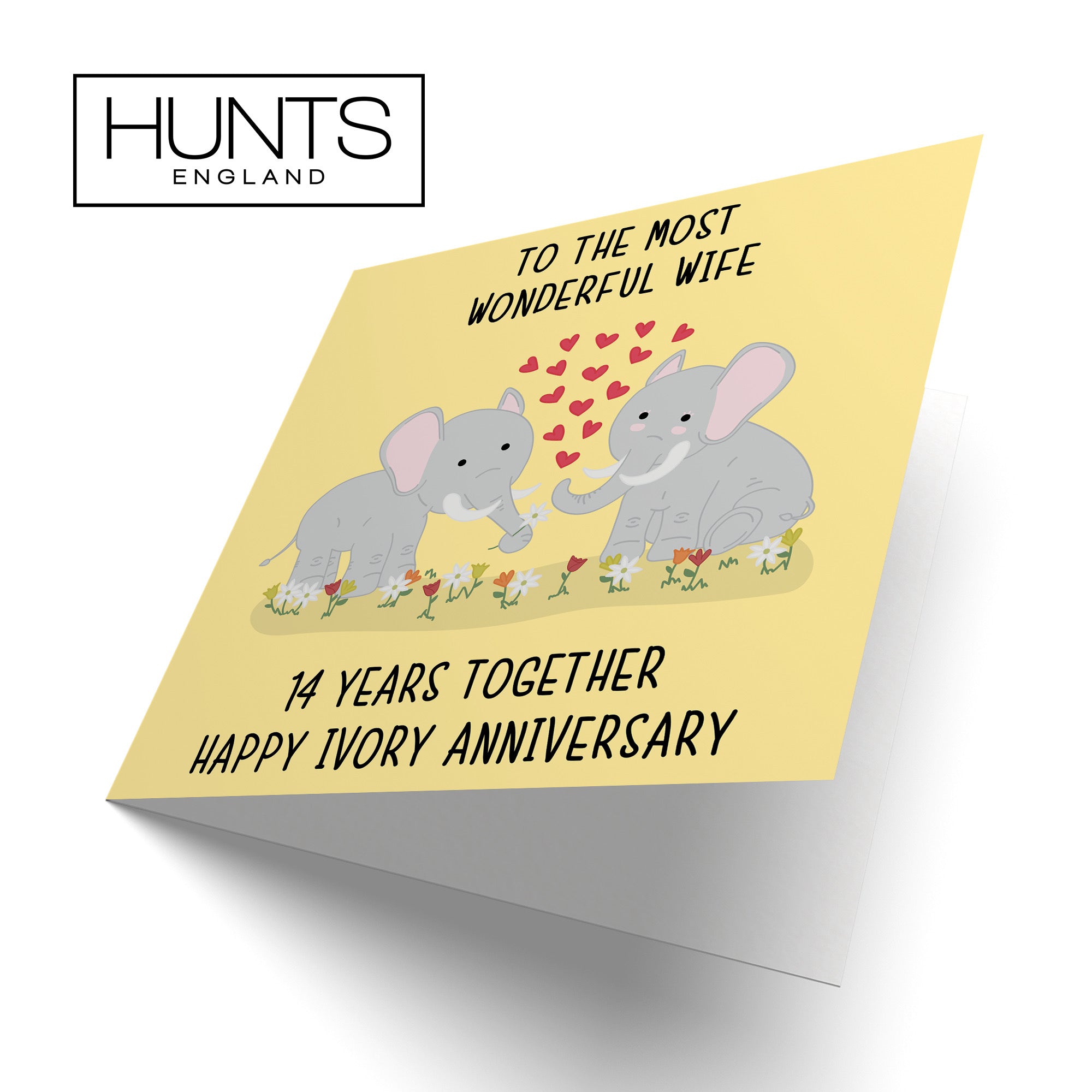 14th Wife Anniversary Card Iconic - Default Title (B098FFGMCP)