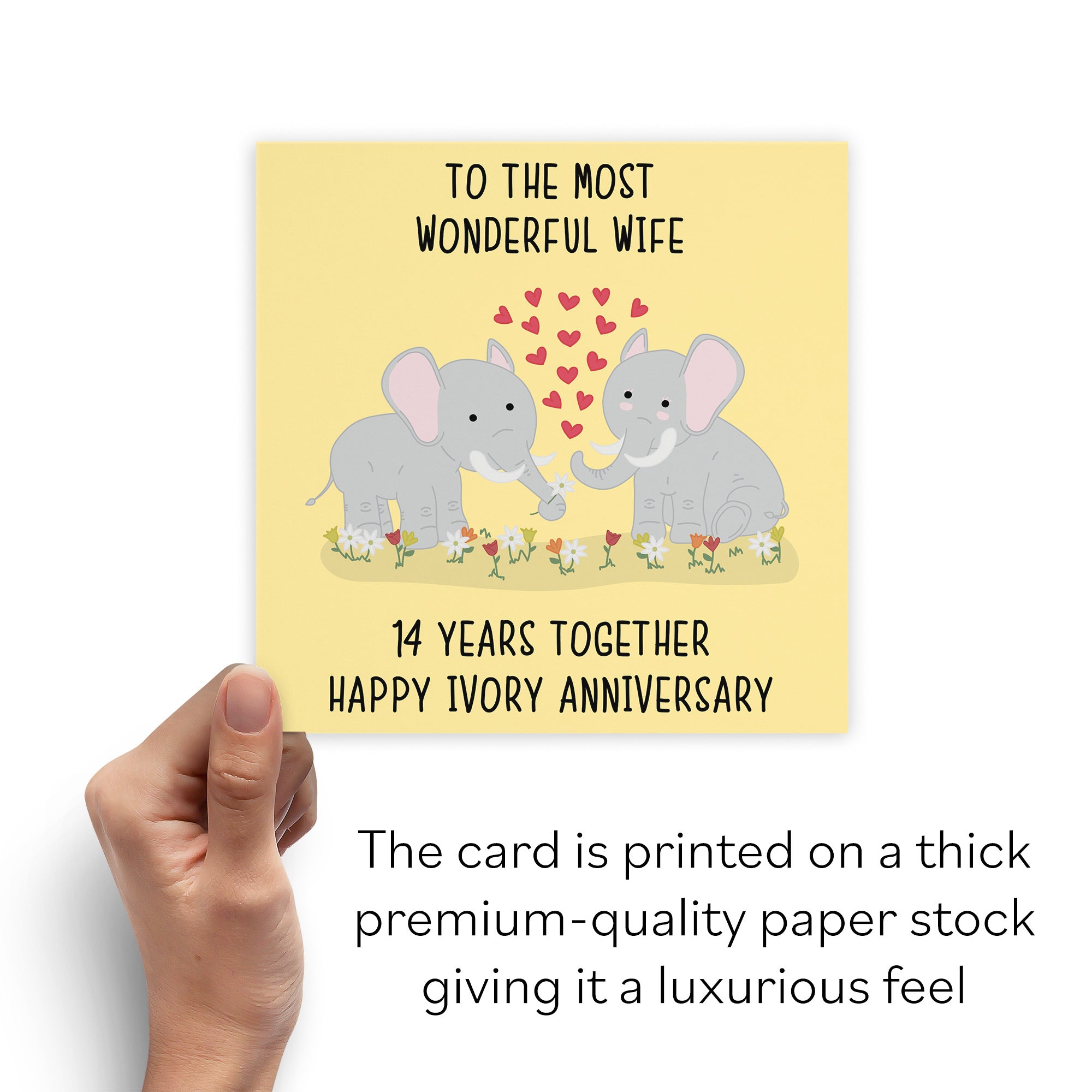 14th Wife Anniversary Card Iconic - Default Title (B098FFGMCP)