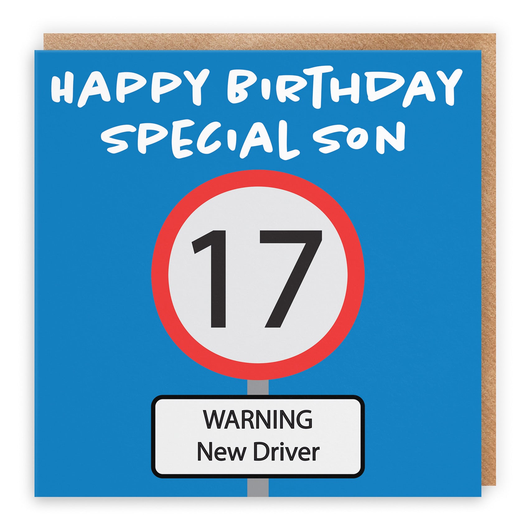 17th Son Birthday Card Road Sign - Default Title (B09GJMJ4TS)