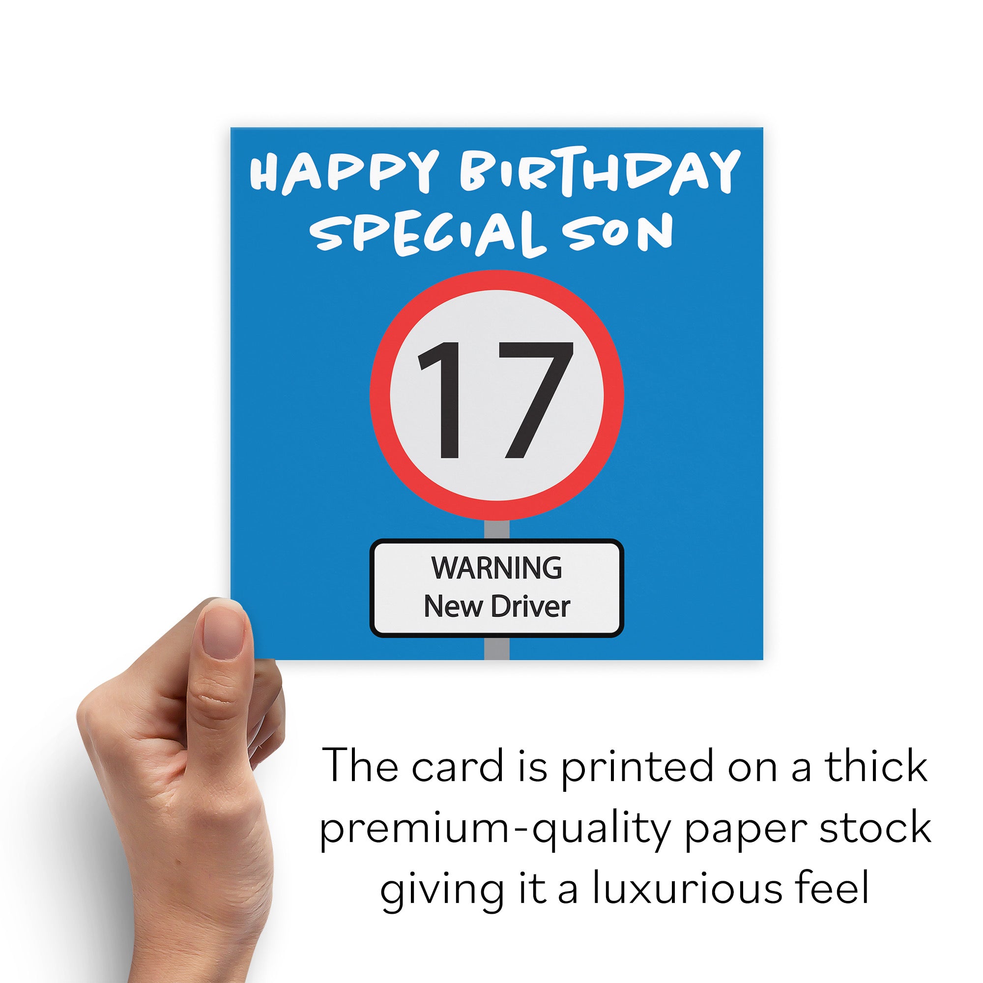 17th Son Birthday Card Road Sign - Default Title (B09GJMJ4TS)