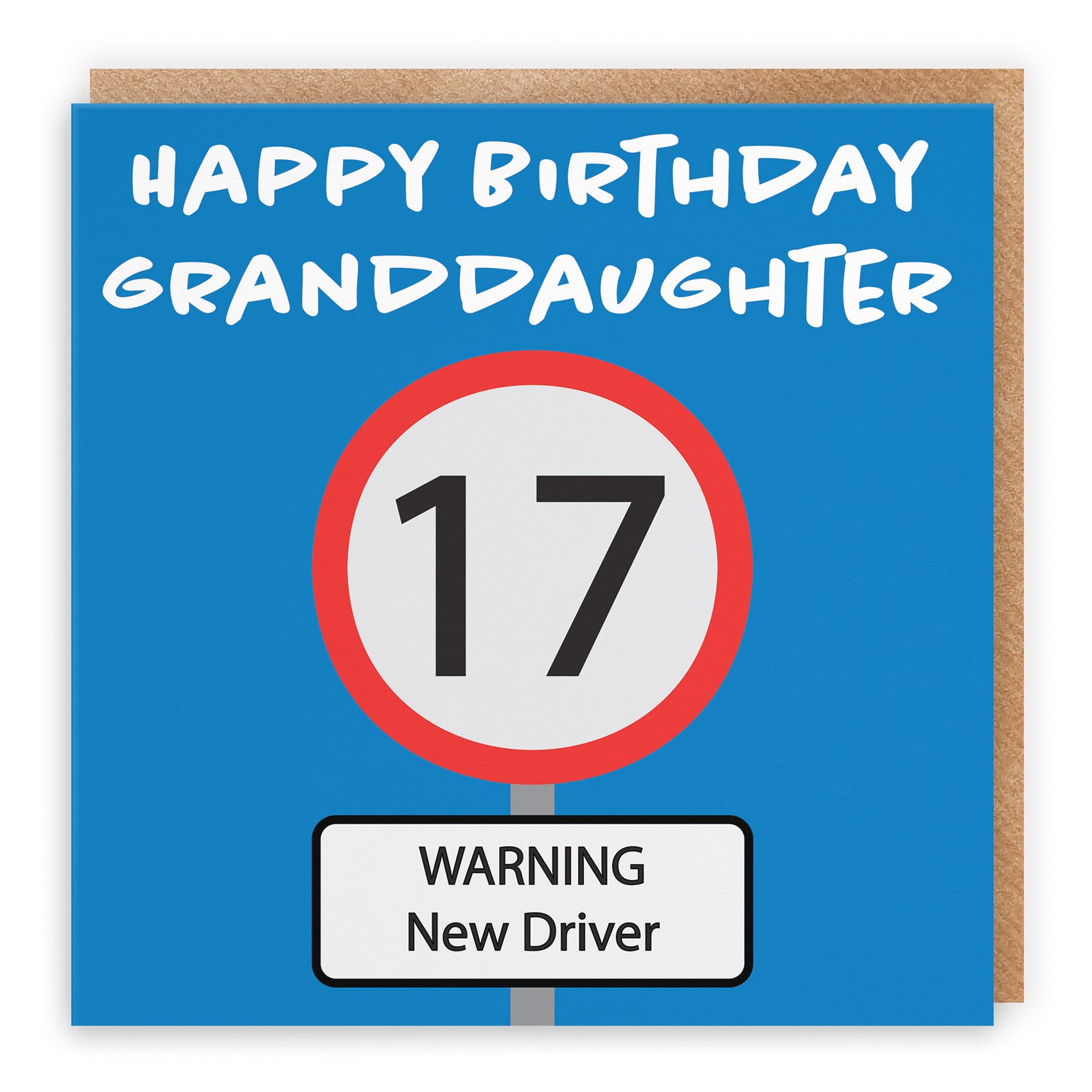 17th Granddaughter Birthday Card Road Sign - Default Title (B09GJPHZDS)