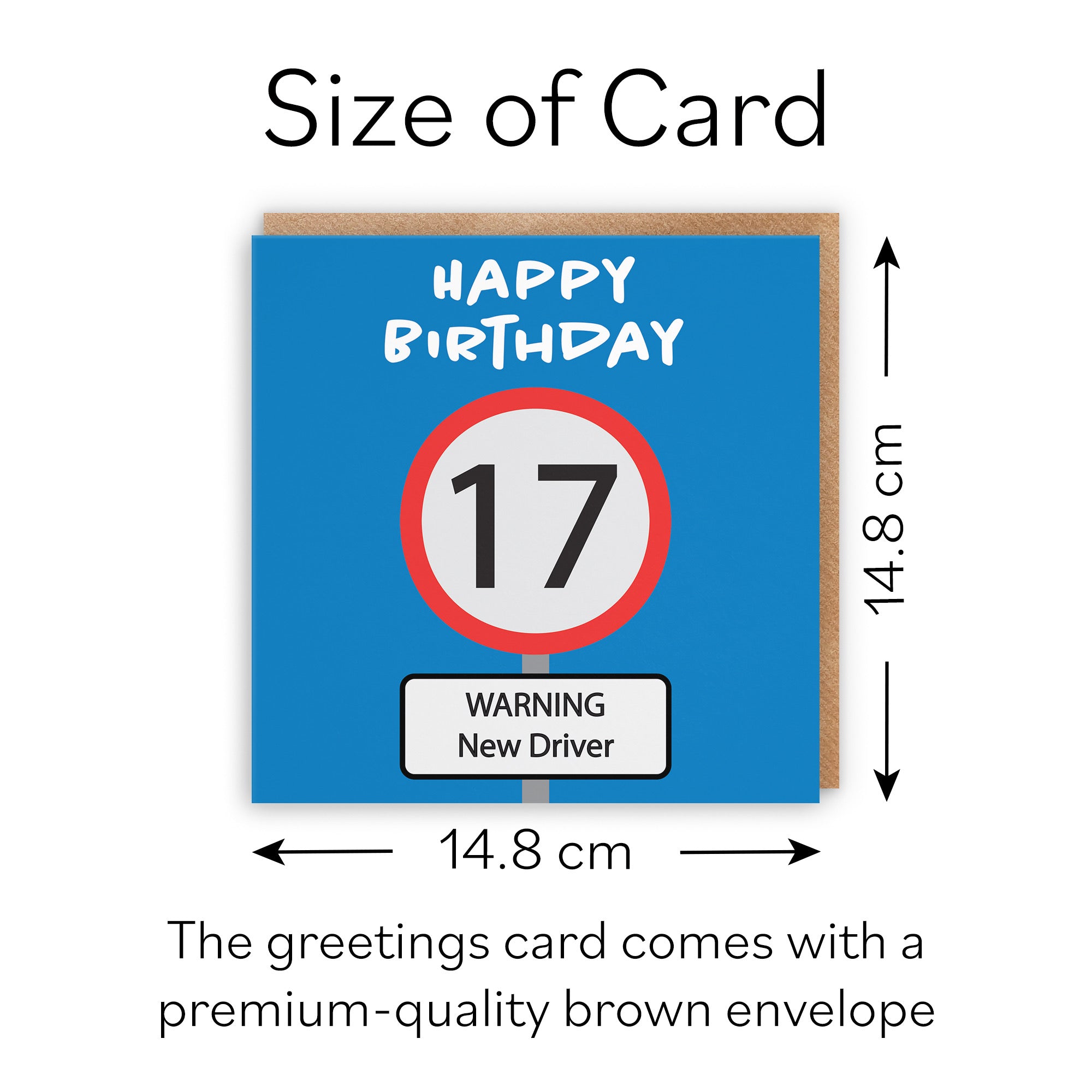 17th Birthday Card Road Sign - Default Title (B09GKZ29KM)