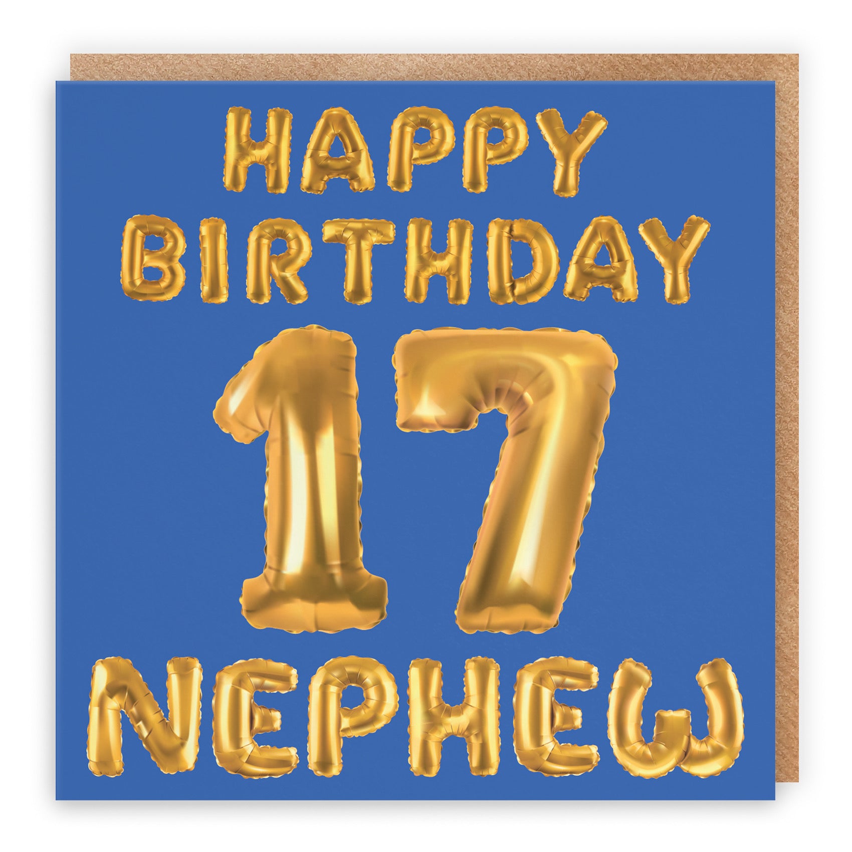 17th Nephew Birthday Card Balloon - Default Title (B09GLDKN63)
