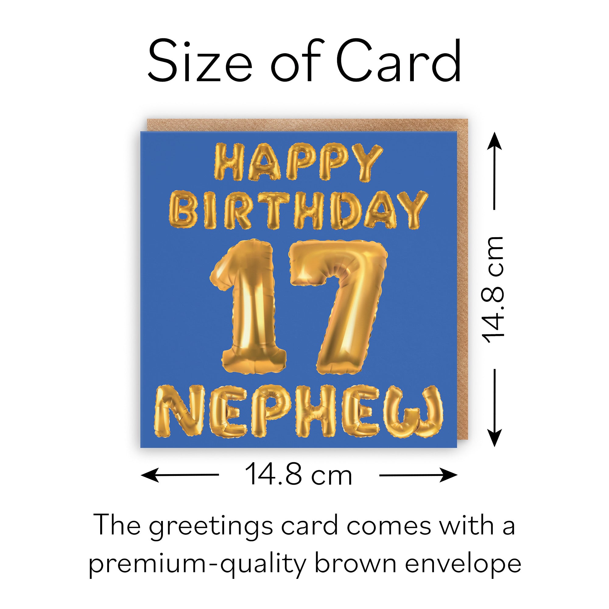 17th Nephew Birthday Card Balloon - Default Title (B09GLDKN63)