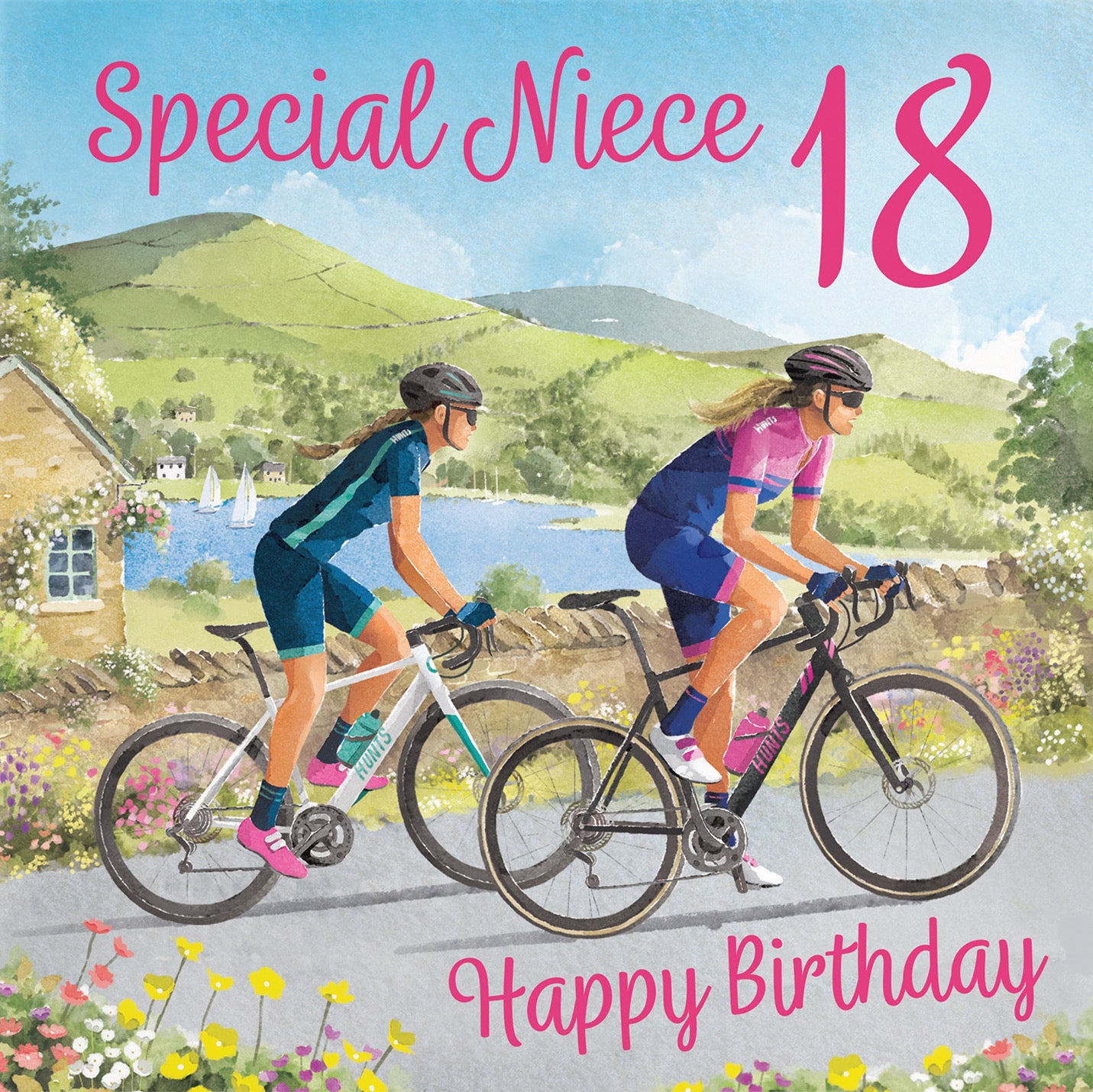 18th Niece Cycling Birthday Card Milo's Gallery - Default Title (B0CQZ4MS3B)