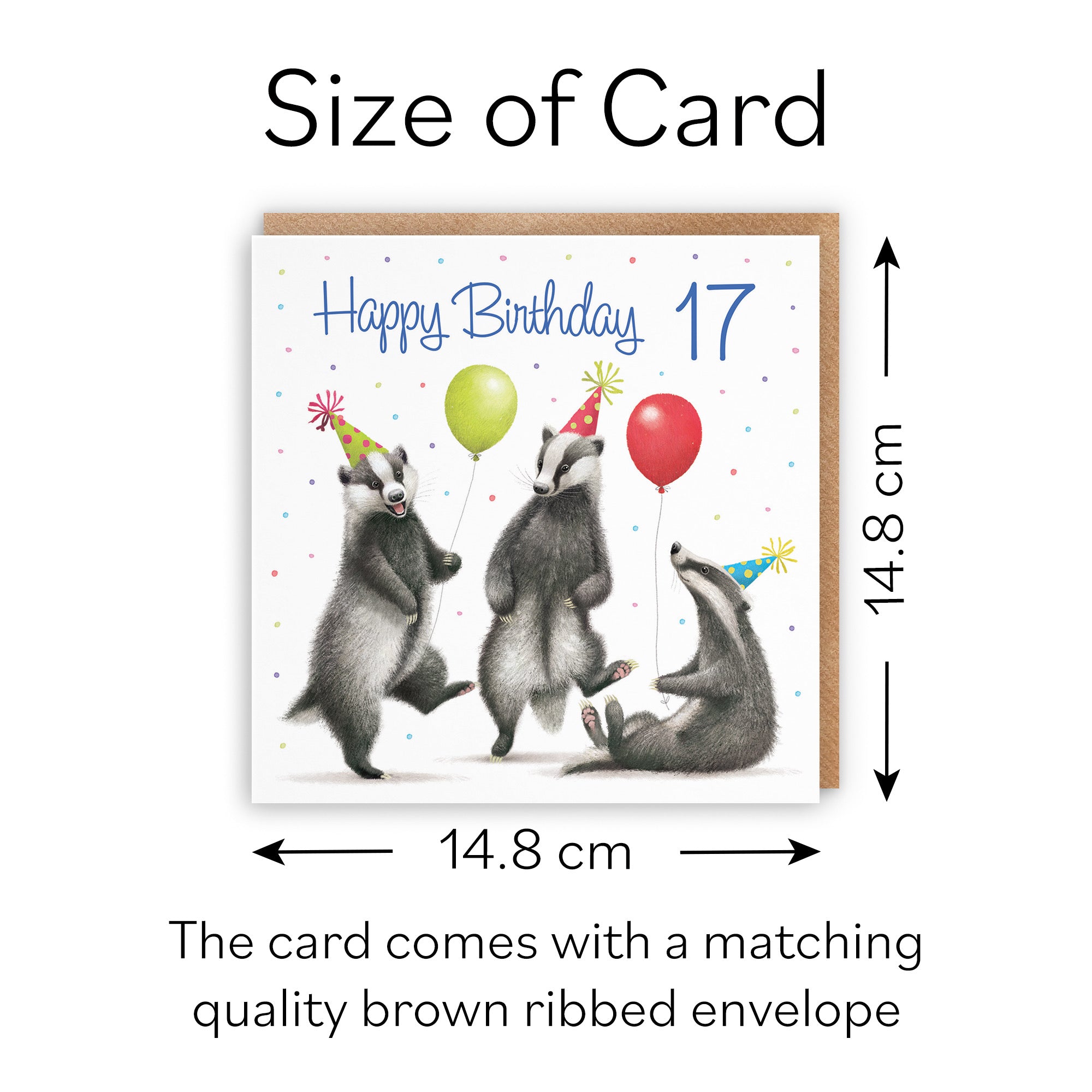 Badgers 17th Birthday Card Milo's Gallery - Default Title (B0CRXT3Q2T)