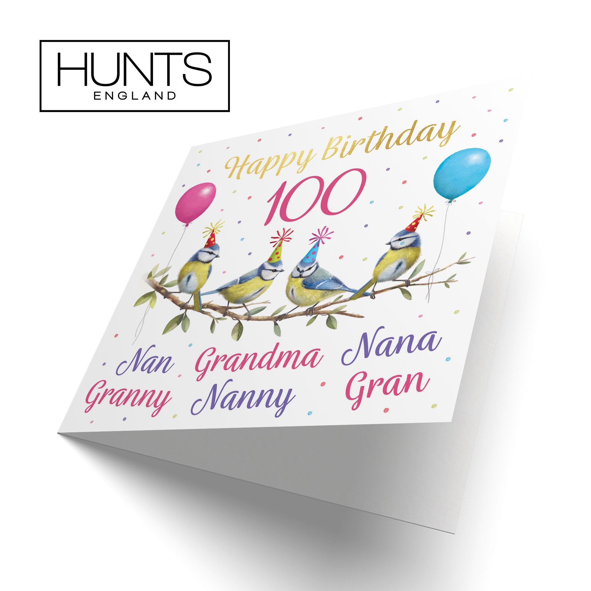 Multi Name Grandma Blue Tits 100th Birthday Card Gold Foil Milo's Gallery - Default Title (B0CV9DSJKL)