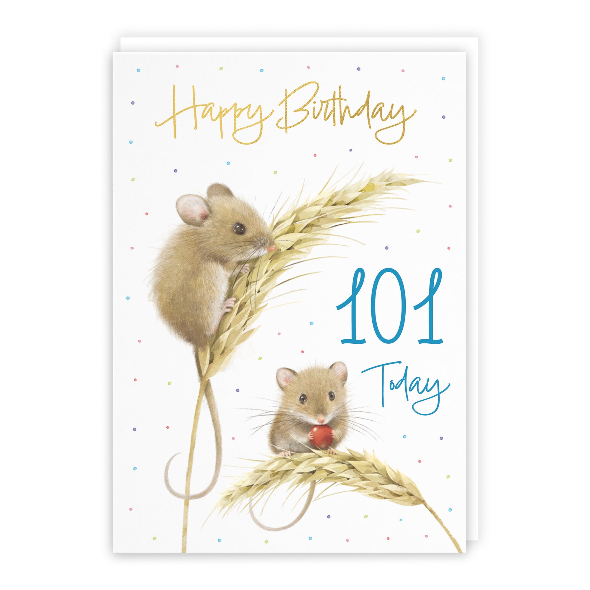 Male 101st Gold Foil Birthday Card Harvest Mice Milo's Gallery - Default Title (B0DG328KJ7)