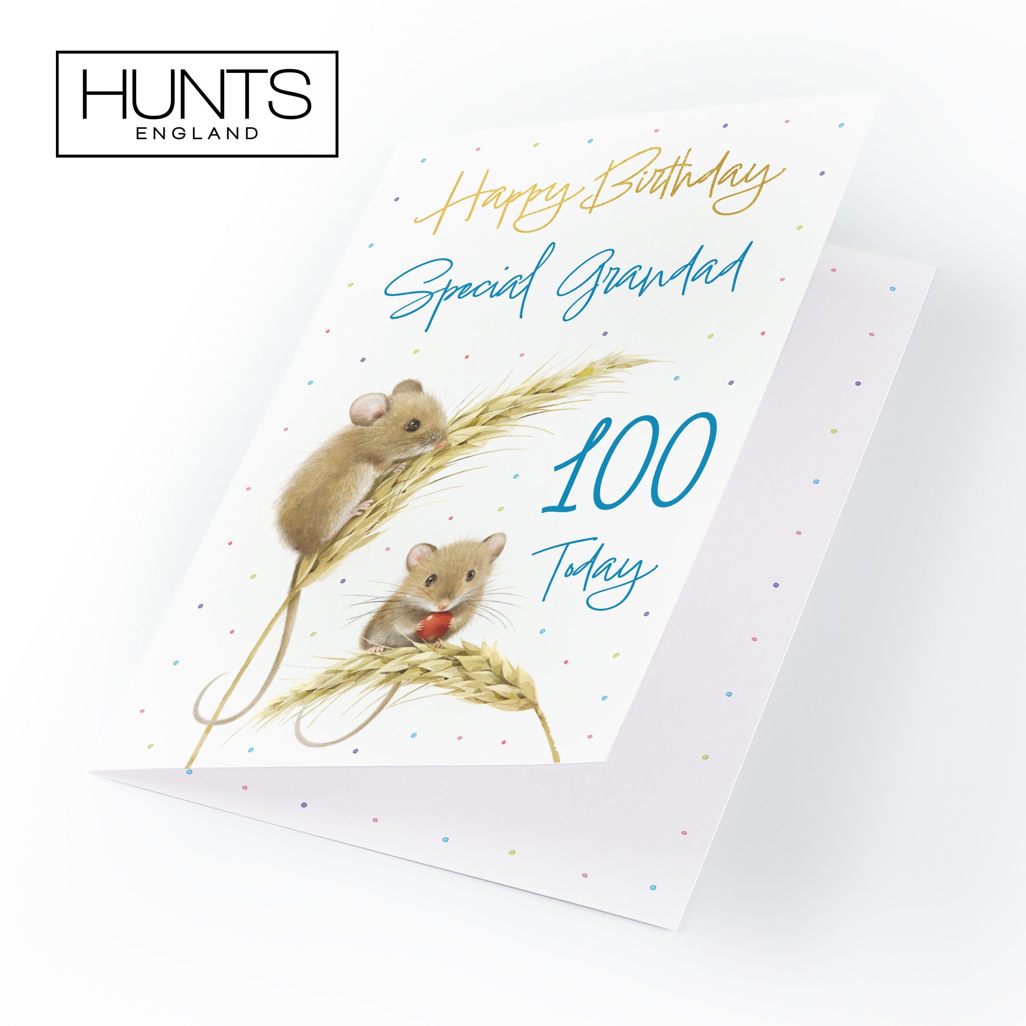 100th Grandad Gold Foil Birthday Card Harvest Mice Milo's Gallery - Default Title (B0DG33VCLR)
