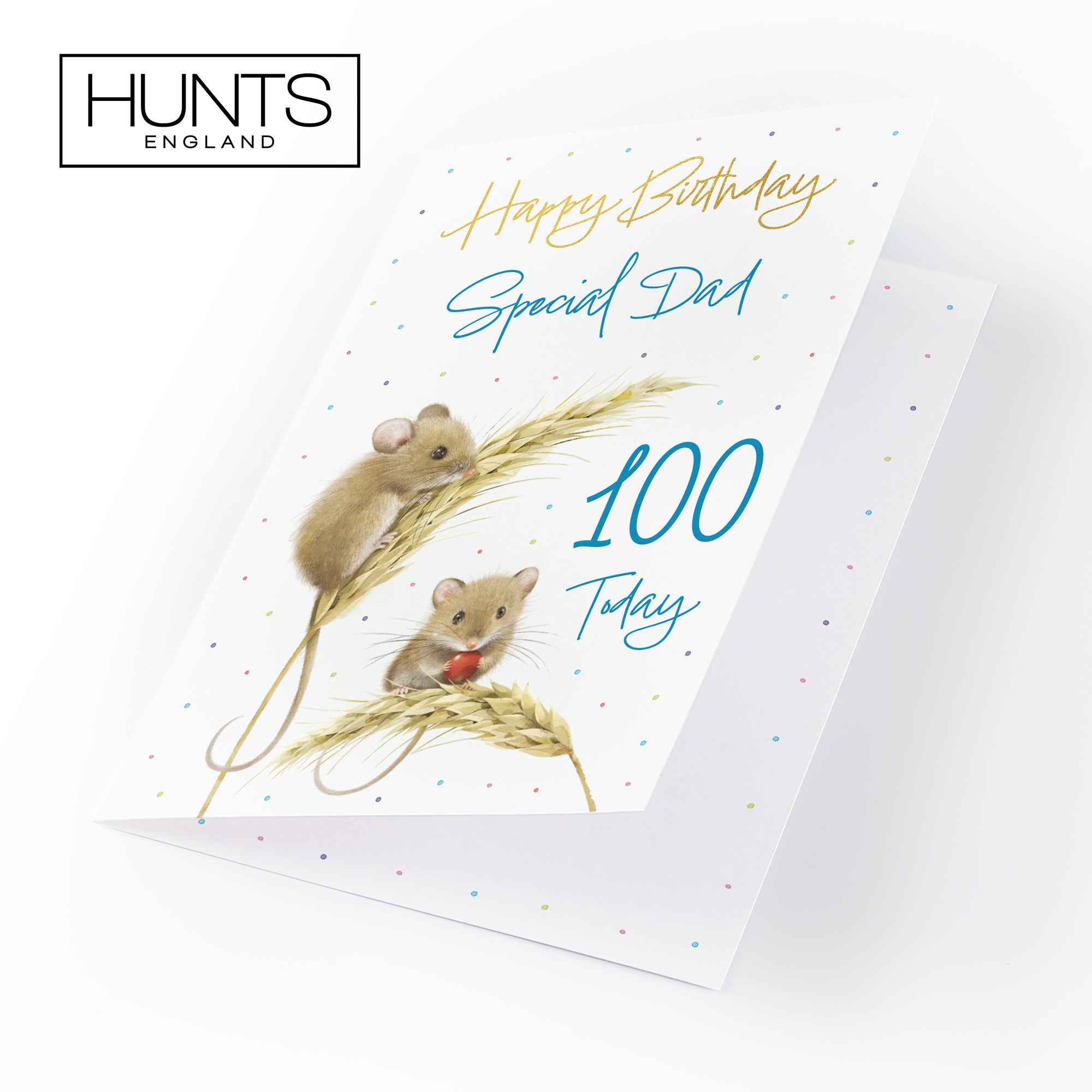 100th Dad Gold Foil Birthday Card Harvest Mice Milo's Gallery - Default Title (B0DG35DZCF)