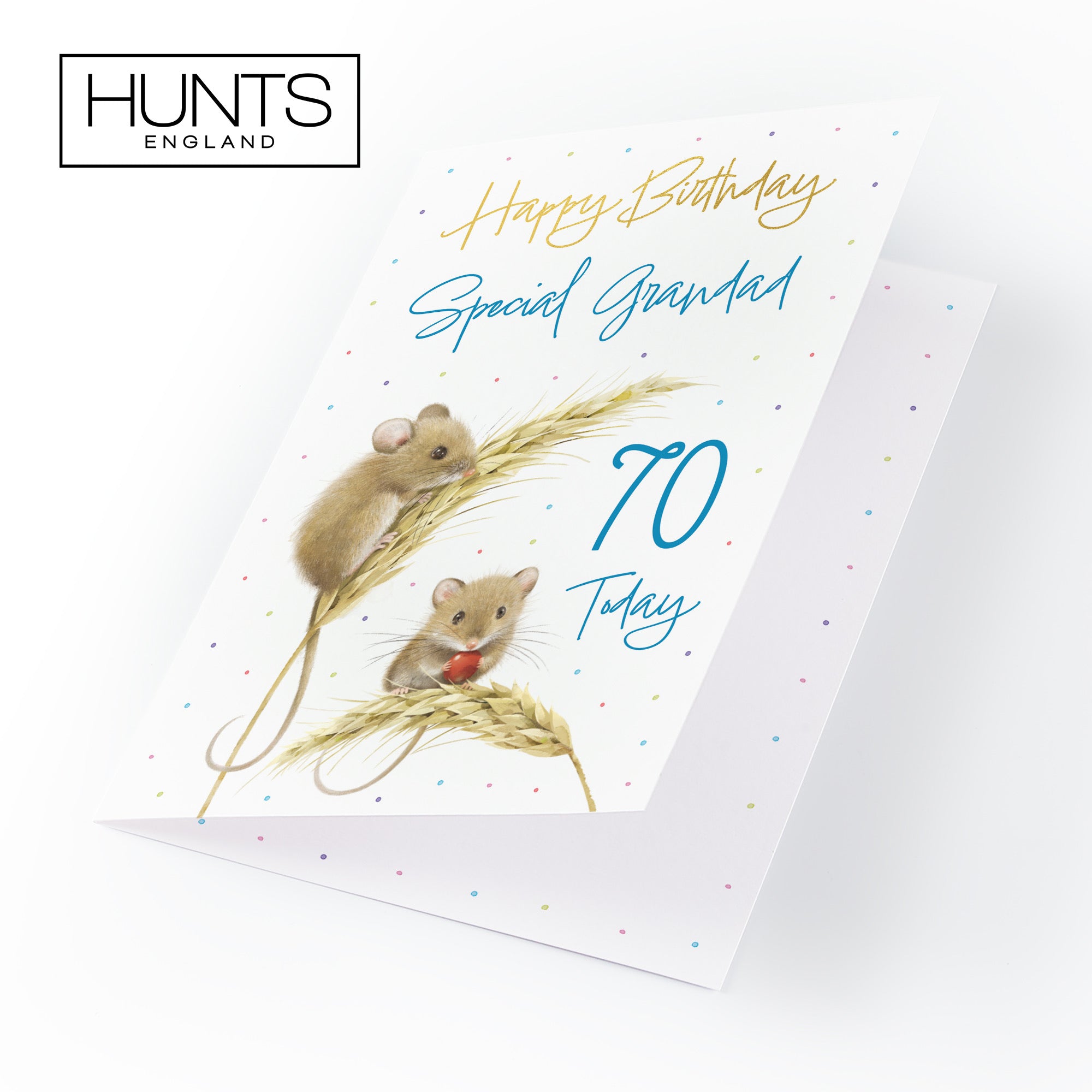 70th Grandad Gold Foil Birthday Card Harvest Mice Milo's Gallery - Default Title (B0DG36DHXF)
