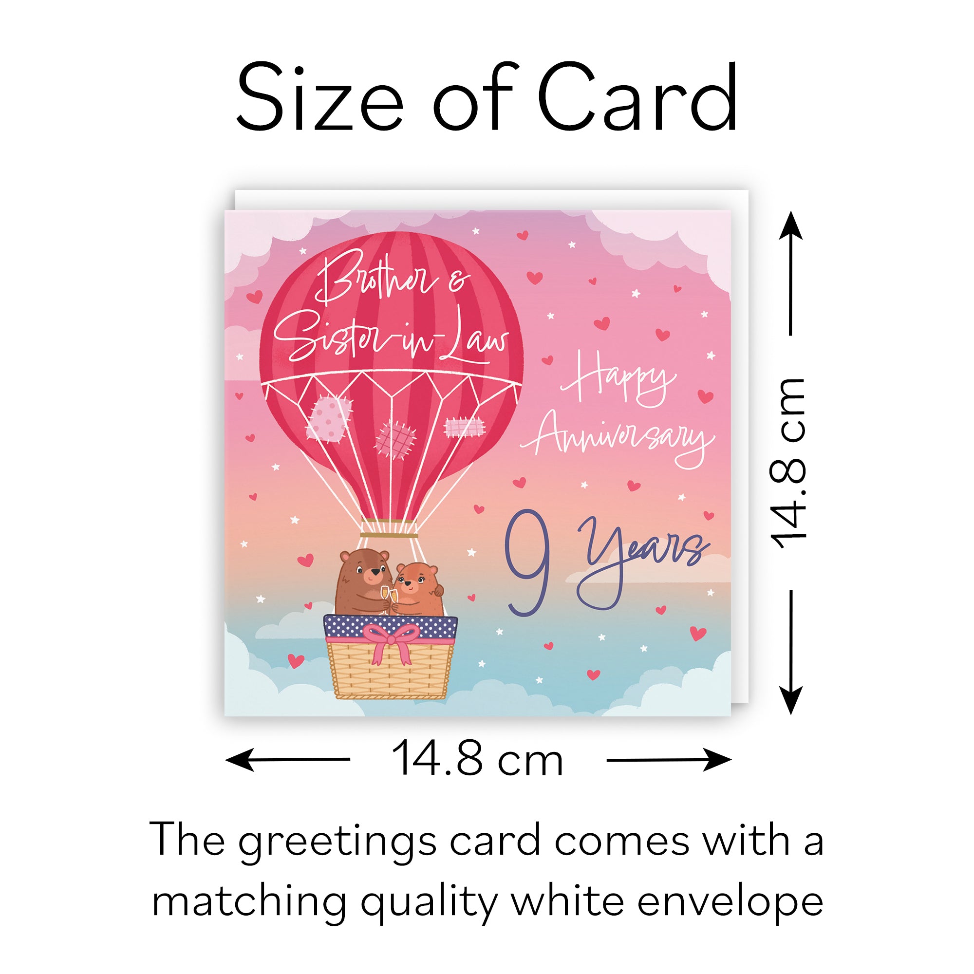 9th Brother And Sister-in-Law Hot Air Balloon Anniversary Card Cute Bears