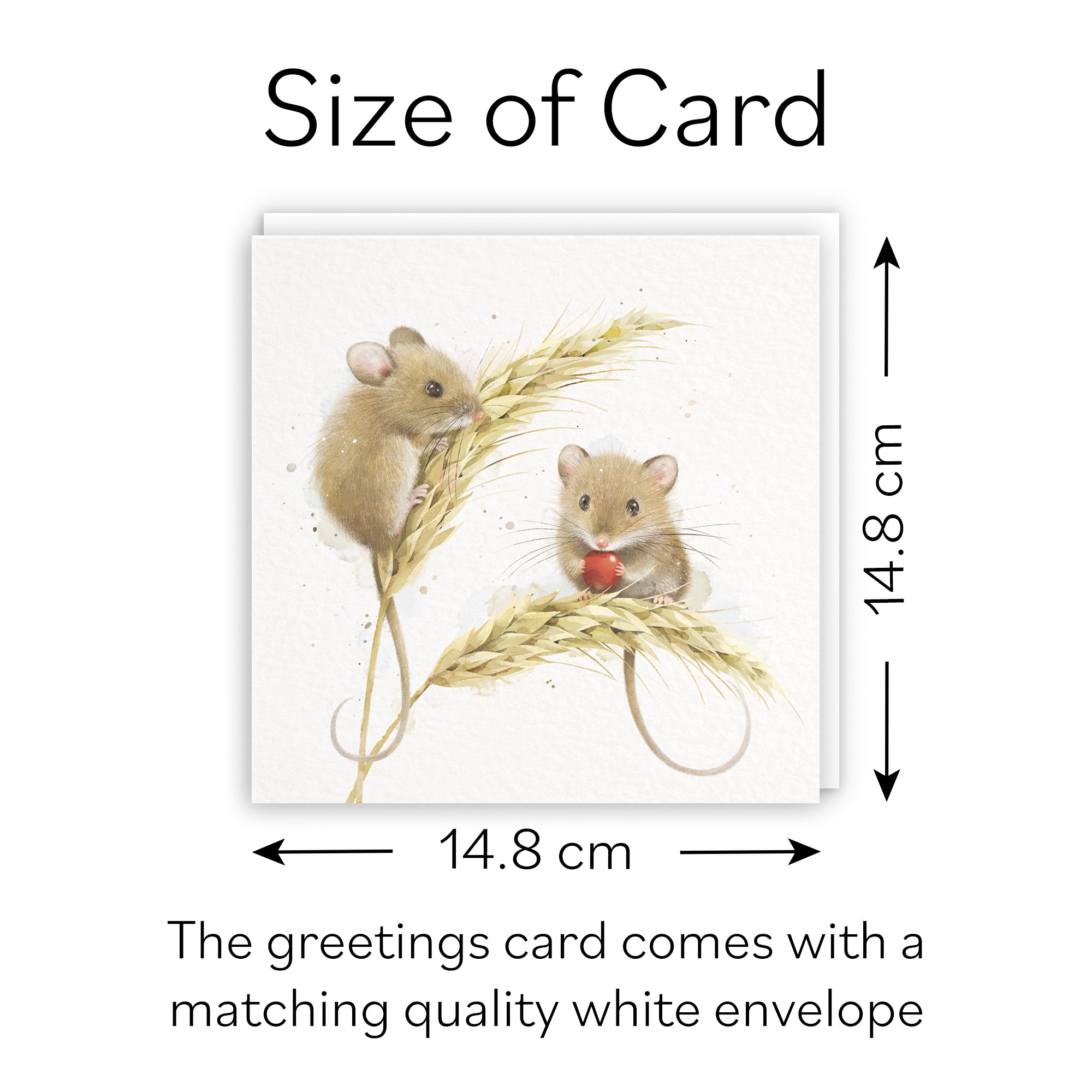 Blank Card Harvest Mice Milo's Gallery