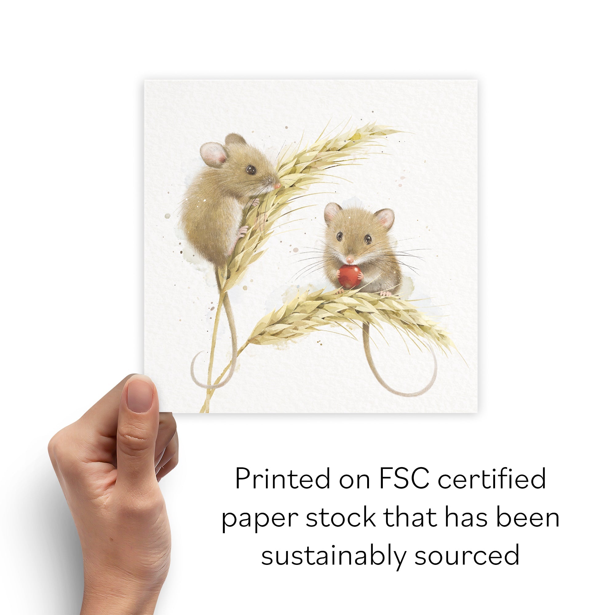 Blank Card Harvest Mice Milo's Gallery