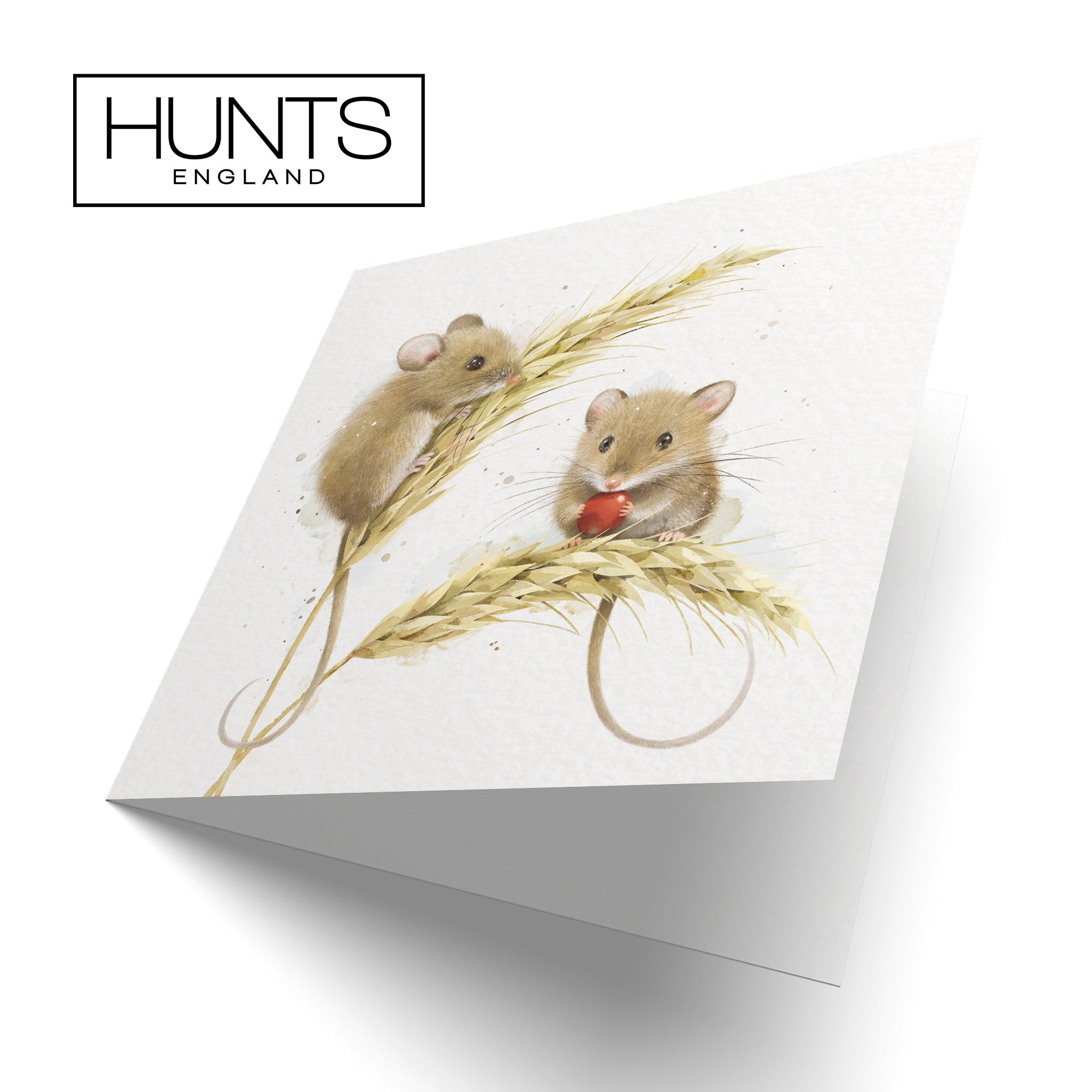 Blank Card Harvest Mice Milo's Gallery