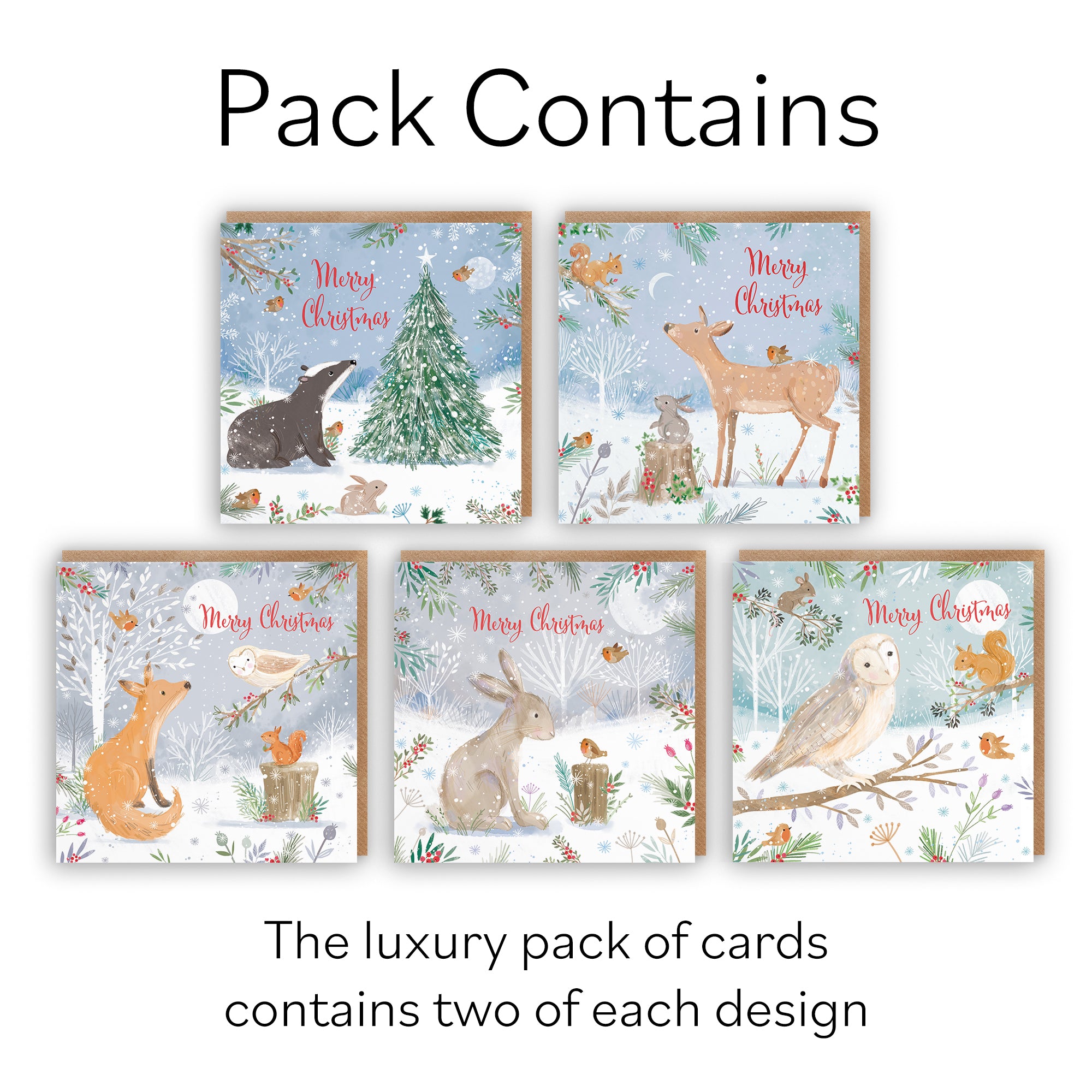 Merry Christmas Family Fun Pack Of 10 Mixed Cards Nature's Treasures