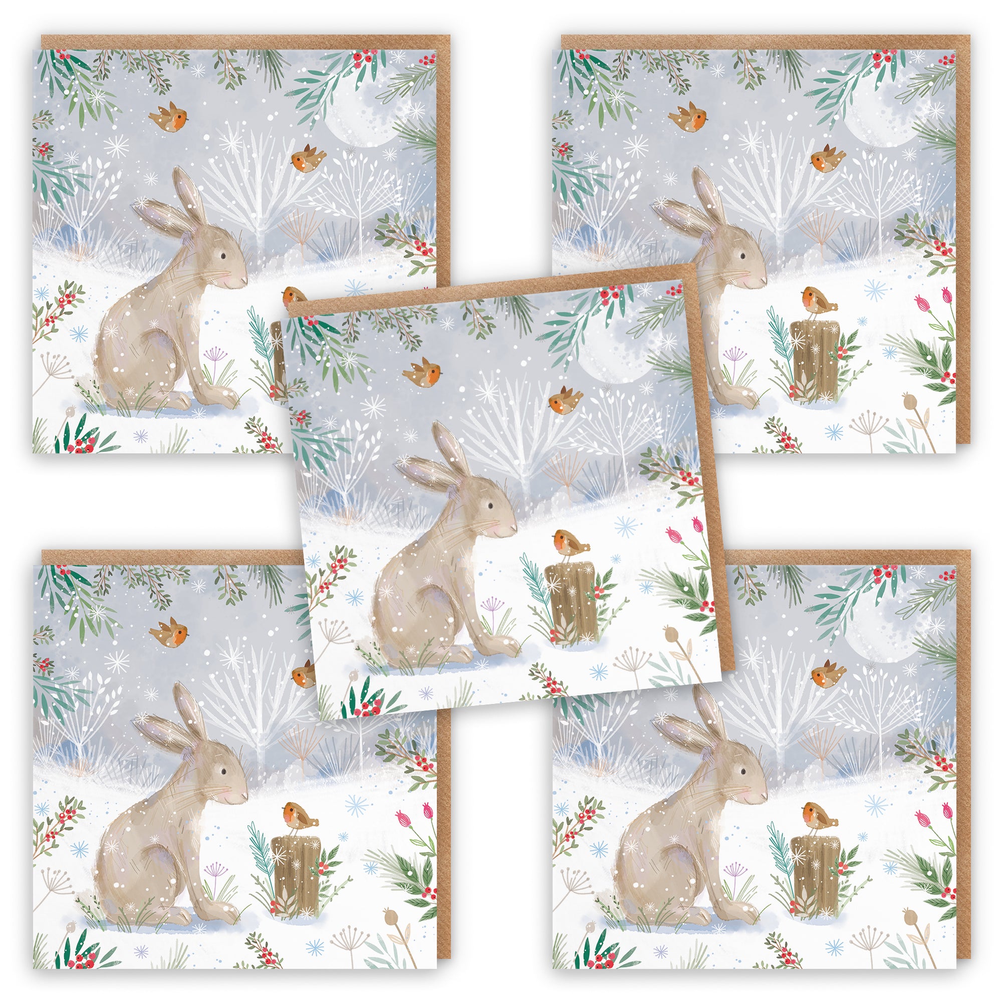 Hare Family Fun Pack Of 10 Christmas Cards Nature's Treasures