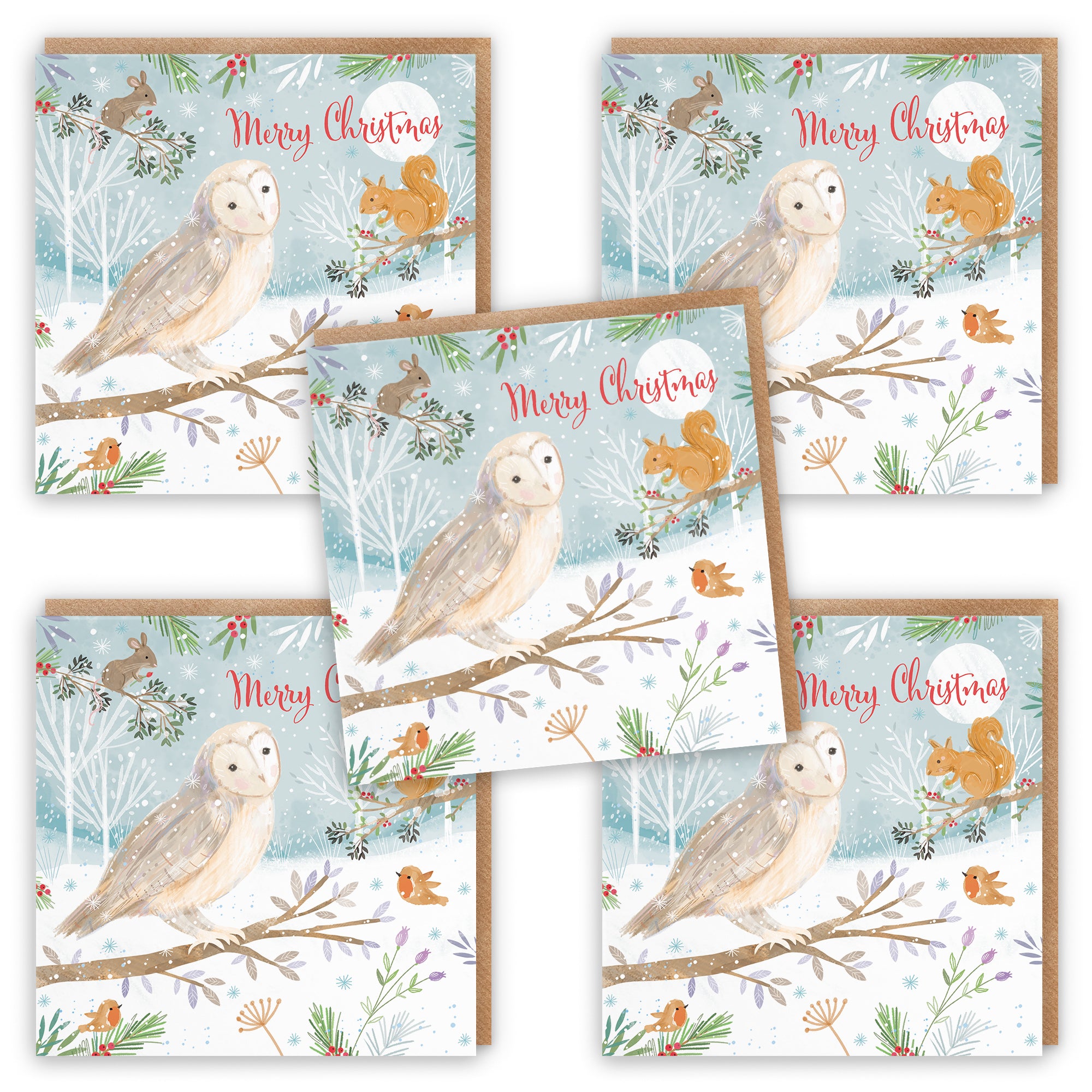 Merry Christmas Owl Family Fun Pack Of 10 Cards Nature's Treasures
