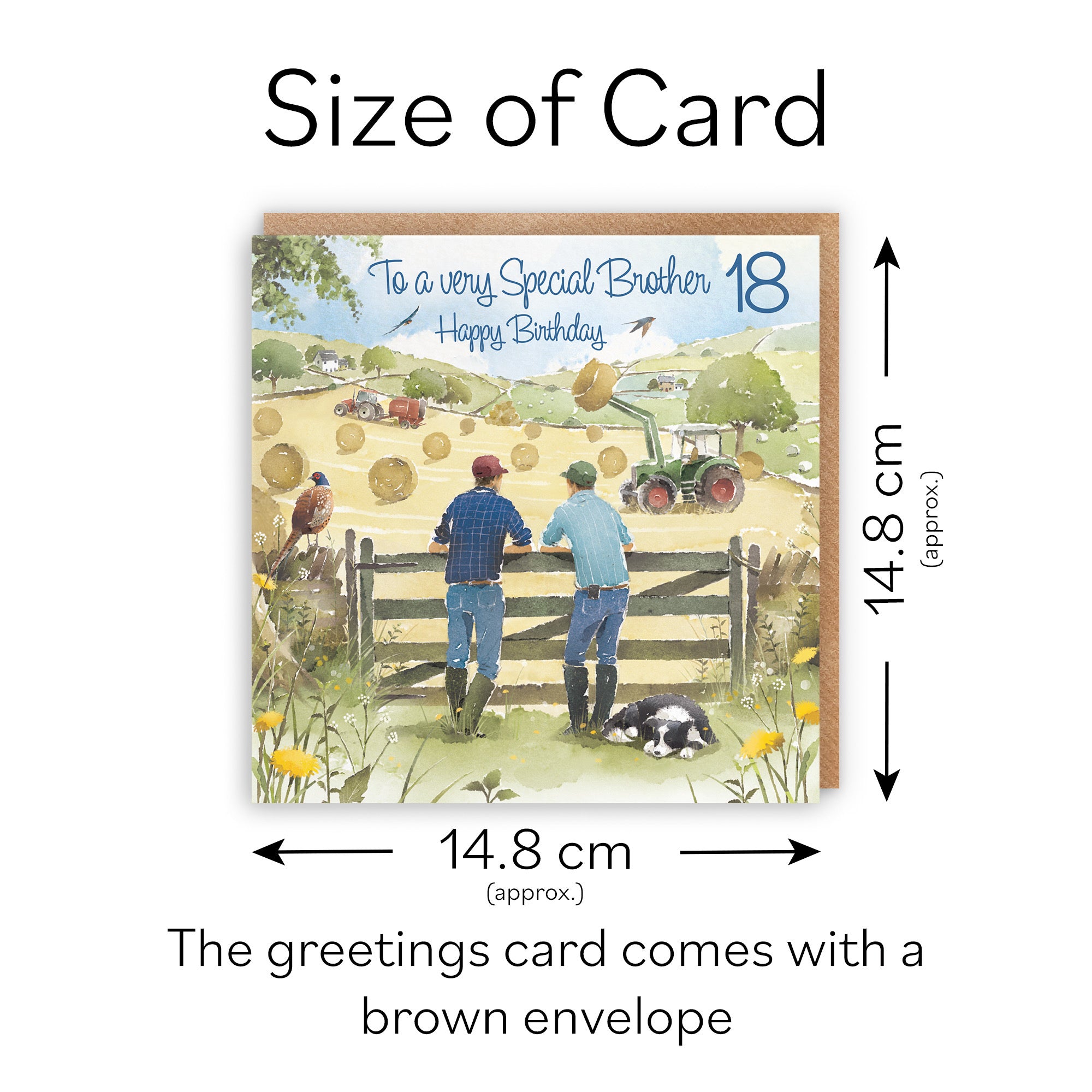 18th Brother Farmers Birthday Card Haymaking Milo's Gallery - Default Title (RT03846)