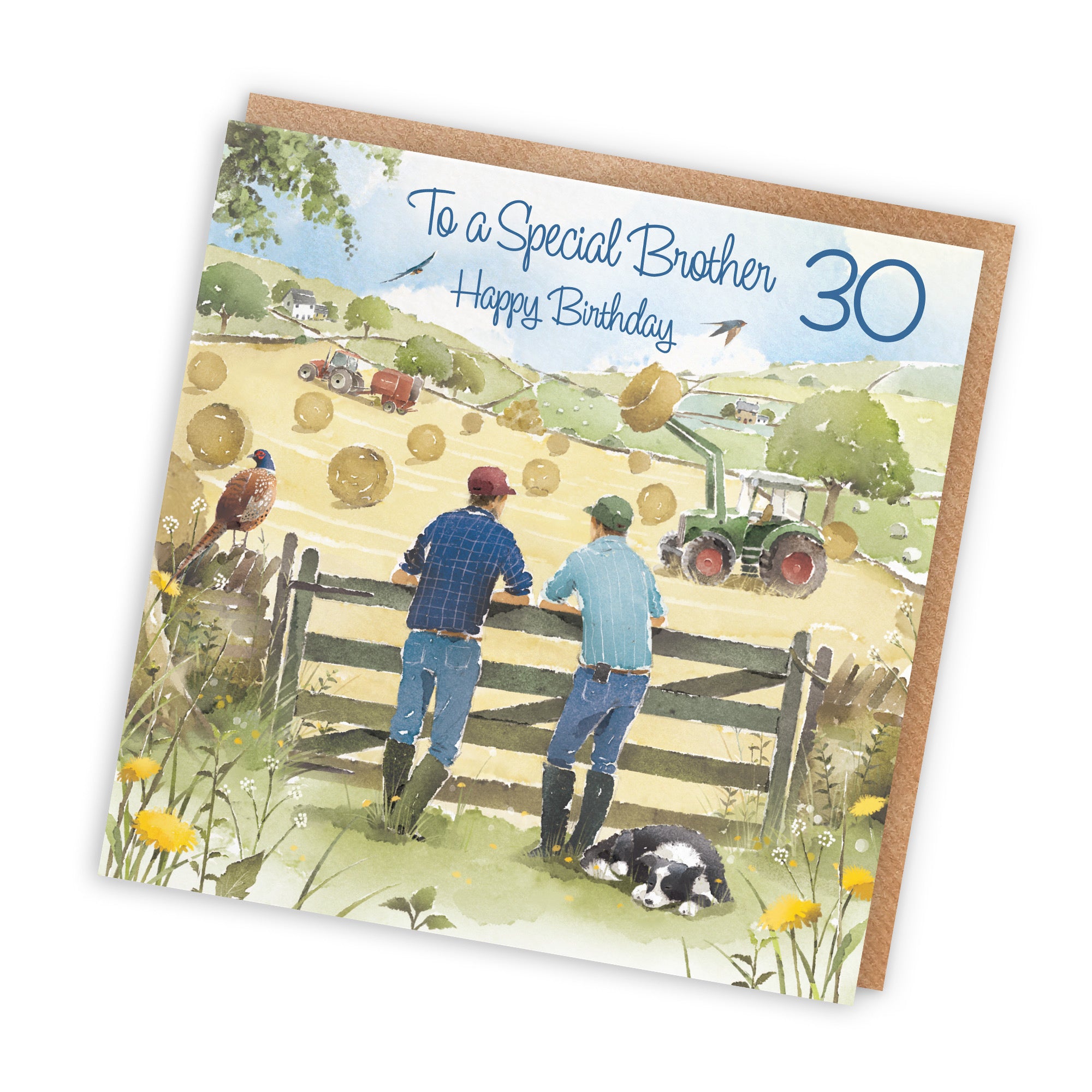 30th Brother Farmers Birthday Card Haymaking Milo's Gallery - Default Title (RT03848)