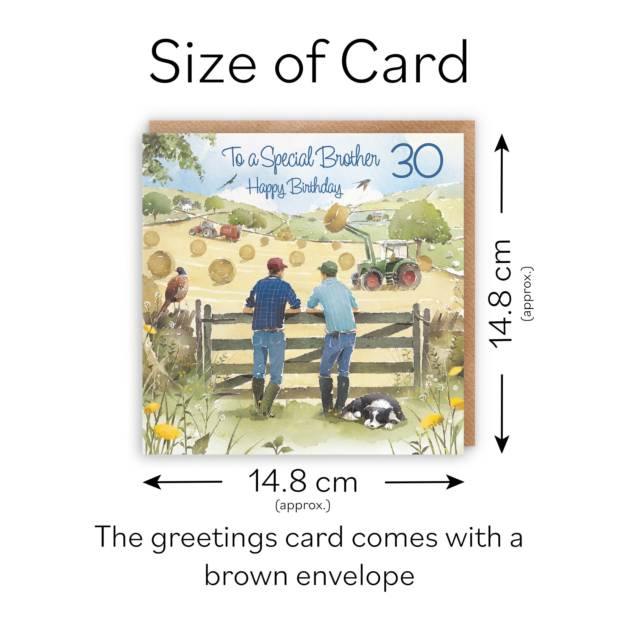 30th Brother Farmers Birthday Card Haymaking Milo's Gallery - Default Title (RT03848)