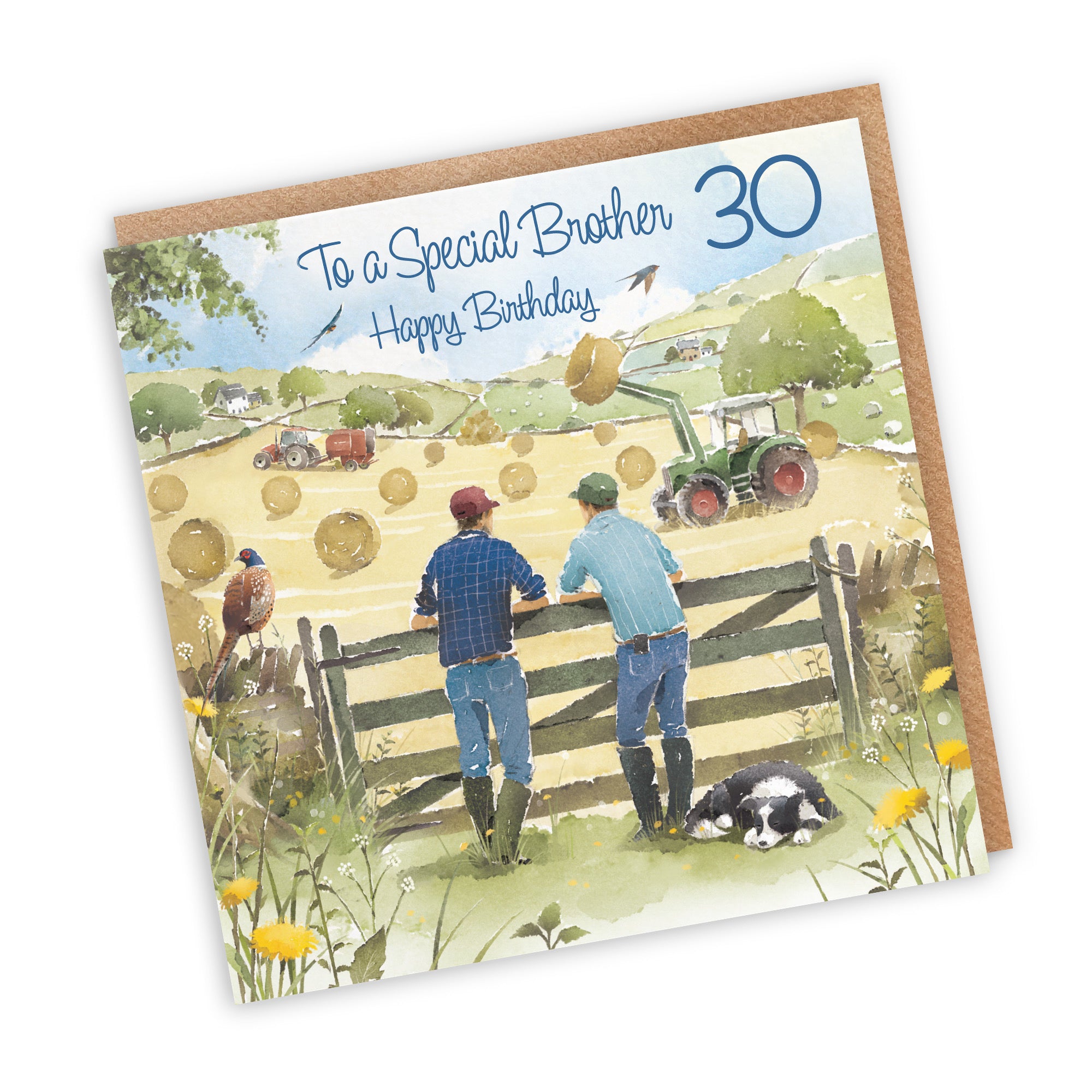 30th Brother Farmers Birthday Card Haymaking Milo's Gallery - Default Title (RT03848)