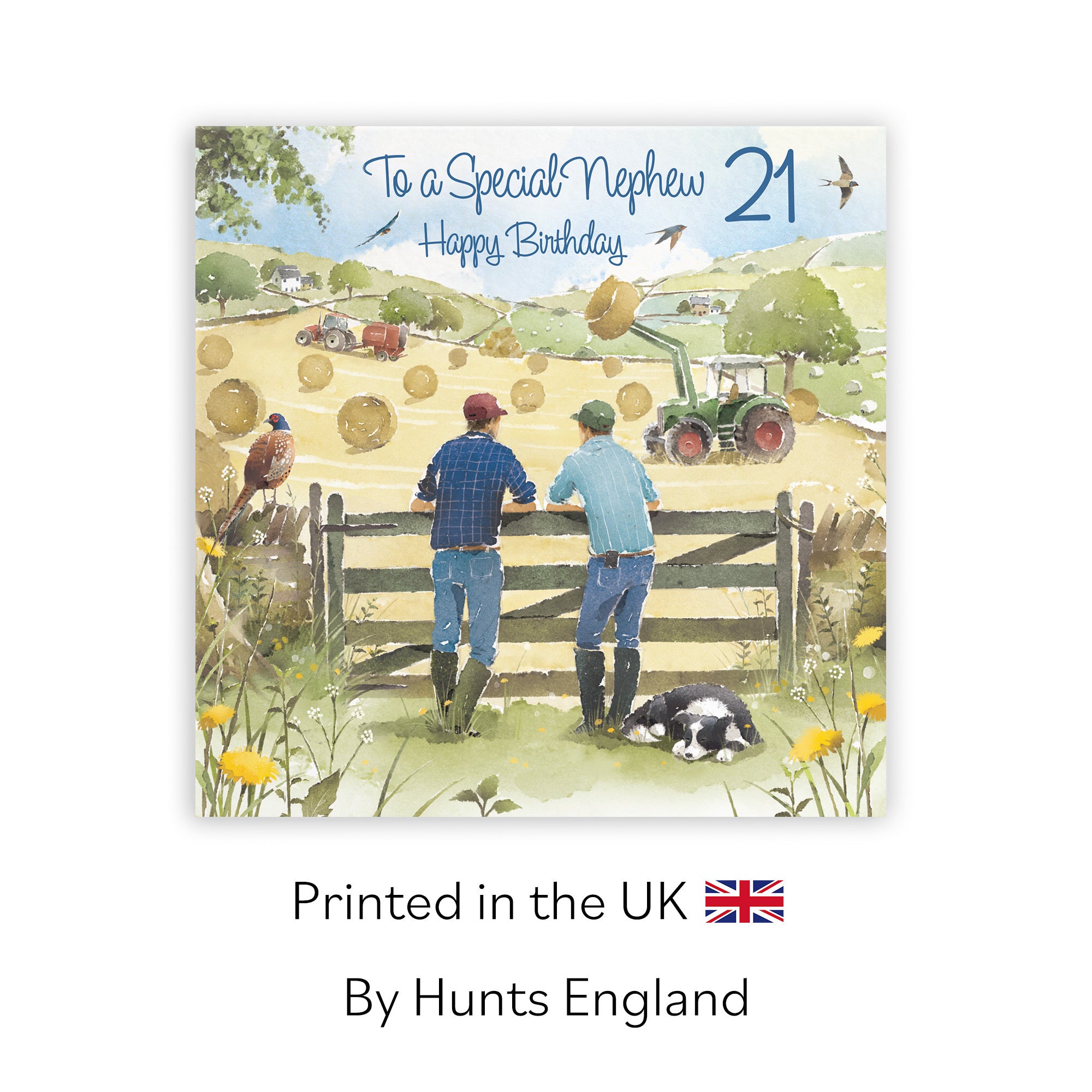 21st Nephew Farmers Birthday Card Haymaking Milo's Gallery - Default Title (RT03850)