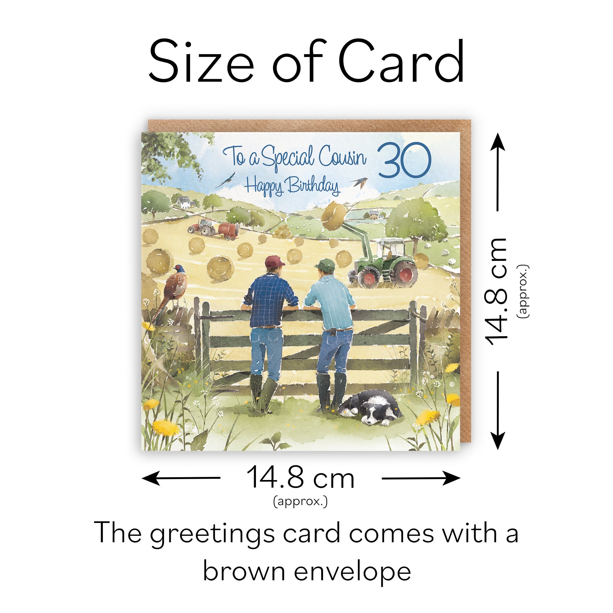 30th Cousin Farmers Birthday Card Haymaking Milo's Gallery - Default Title (RT03859)