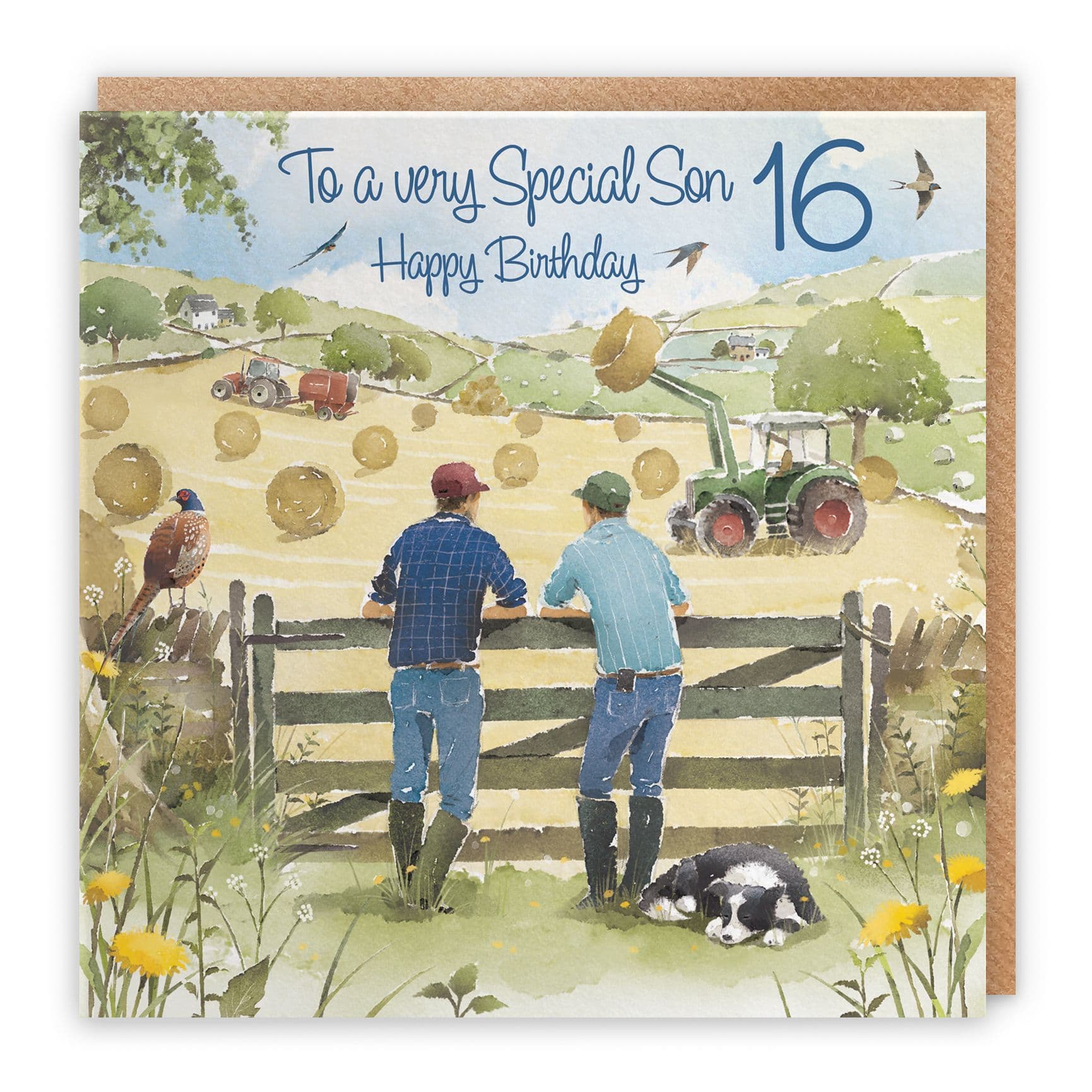 16th Son Birthday Card Haymaking Milo's Gallery