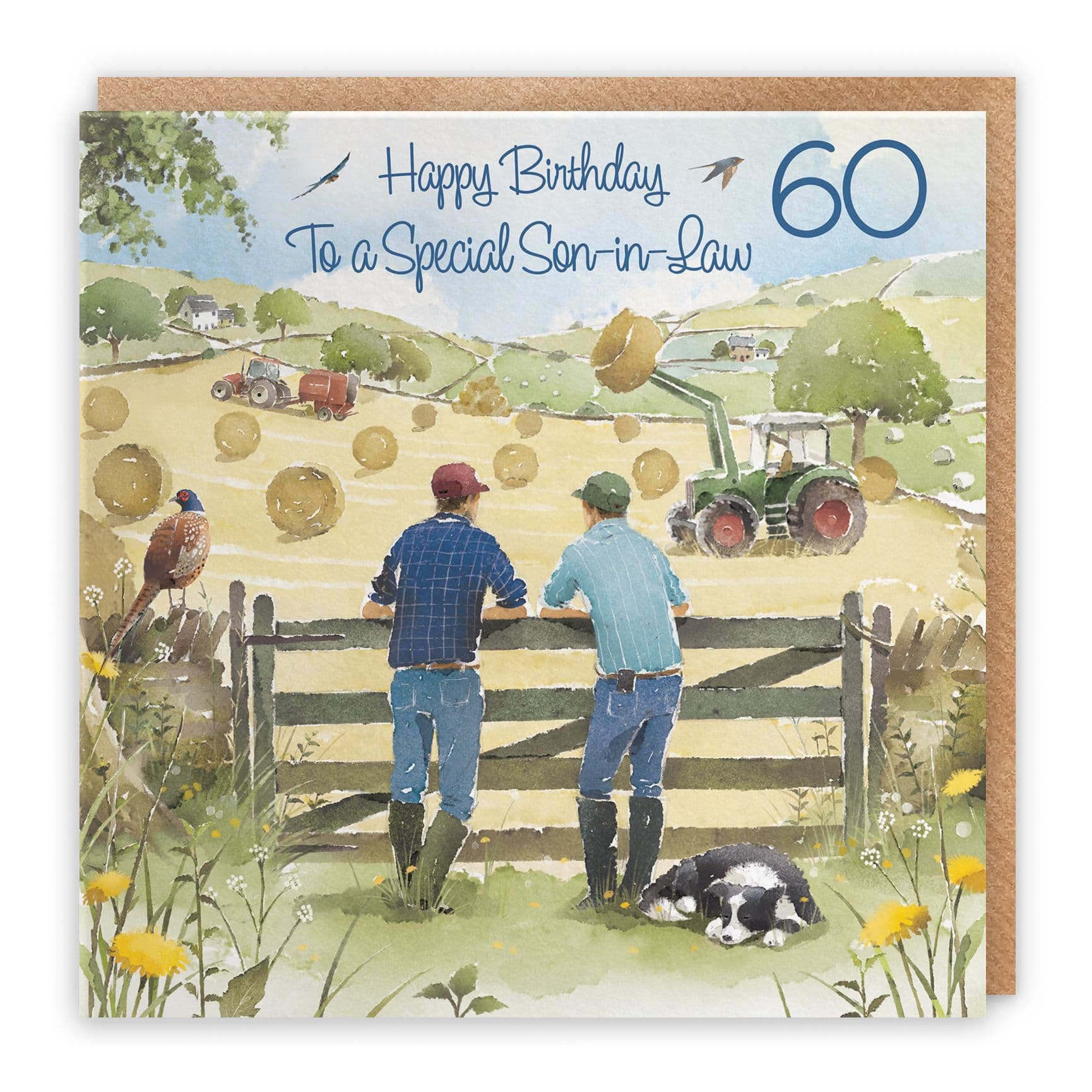 60th Son-in-Law Birthday Card Haymaking Milo's Gallery