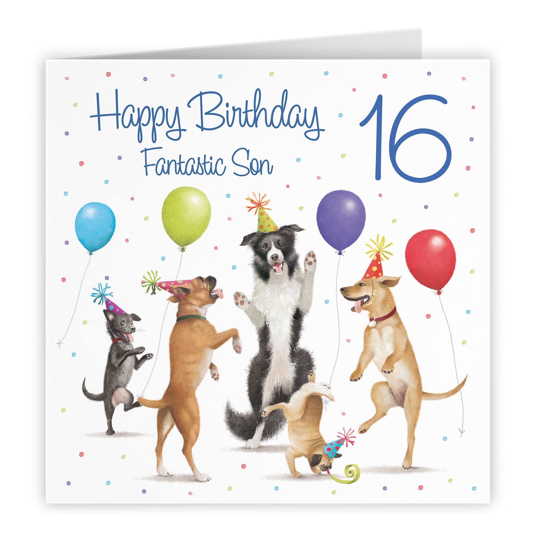 16th Son Birthday Card Dancing Dogs Milo's Gallery