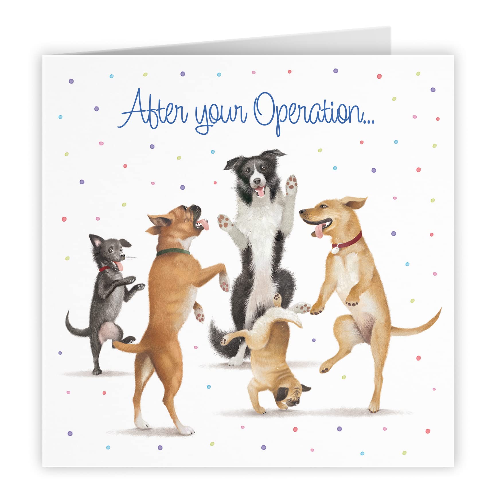After Operation Card Dancing Dogs Milo's Gallery
