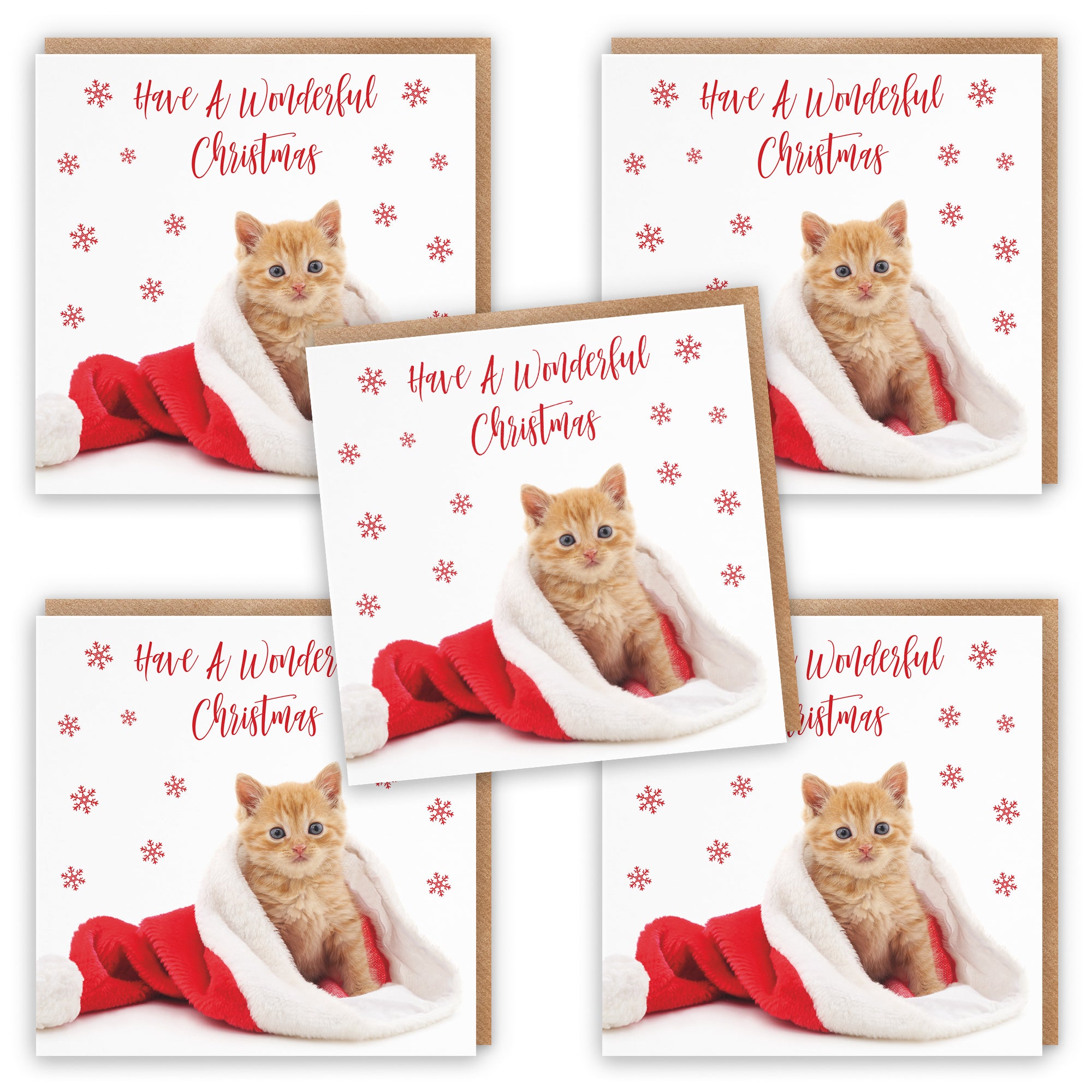 Kitten Pack Of 10 Christmas Cards And Envelopes