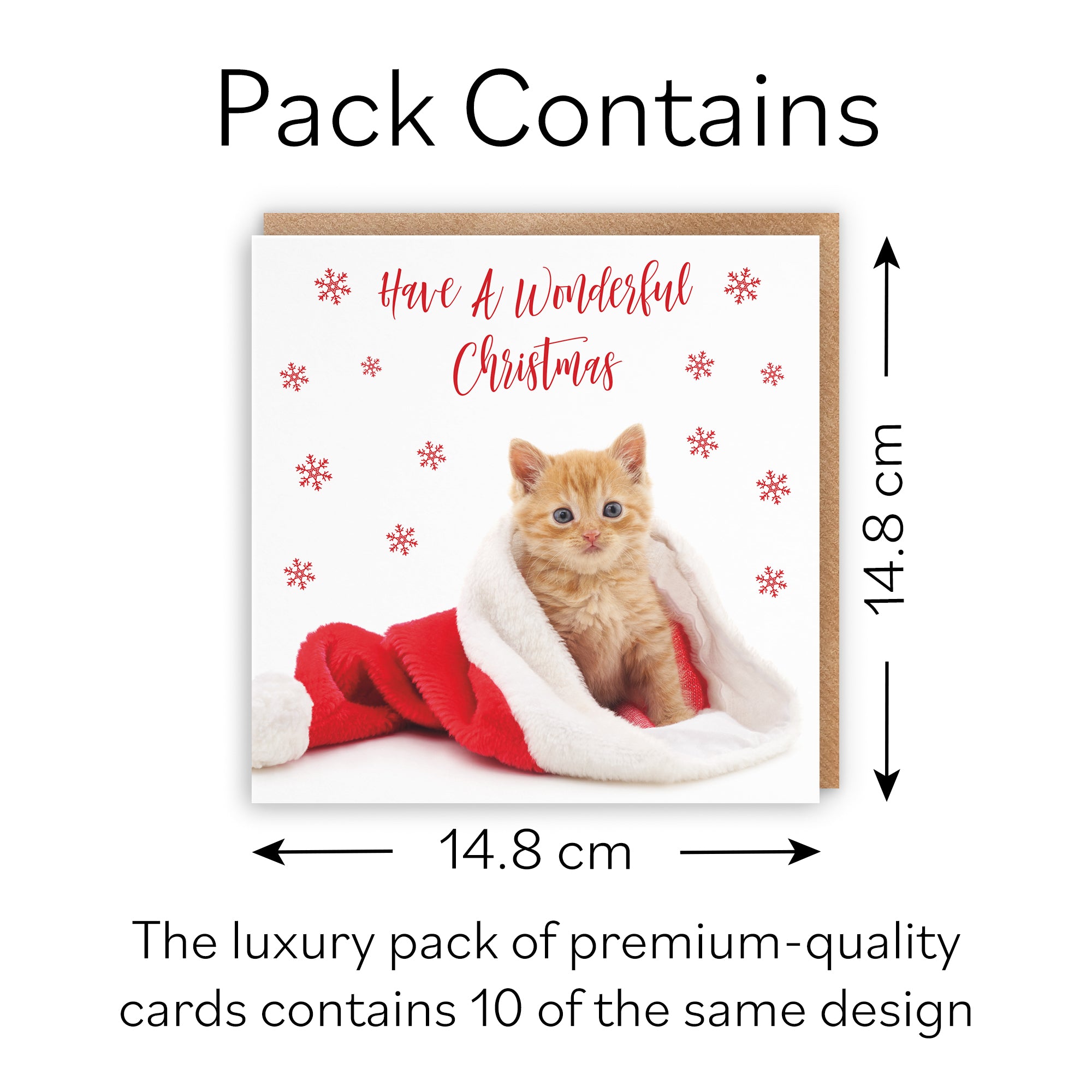 Kitten Pack Of 10 Christmas Cards And Envelopes