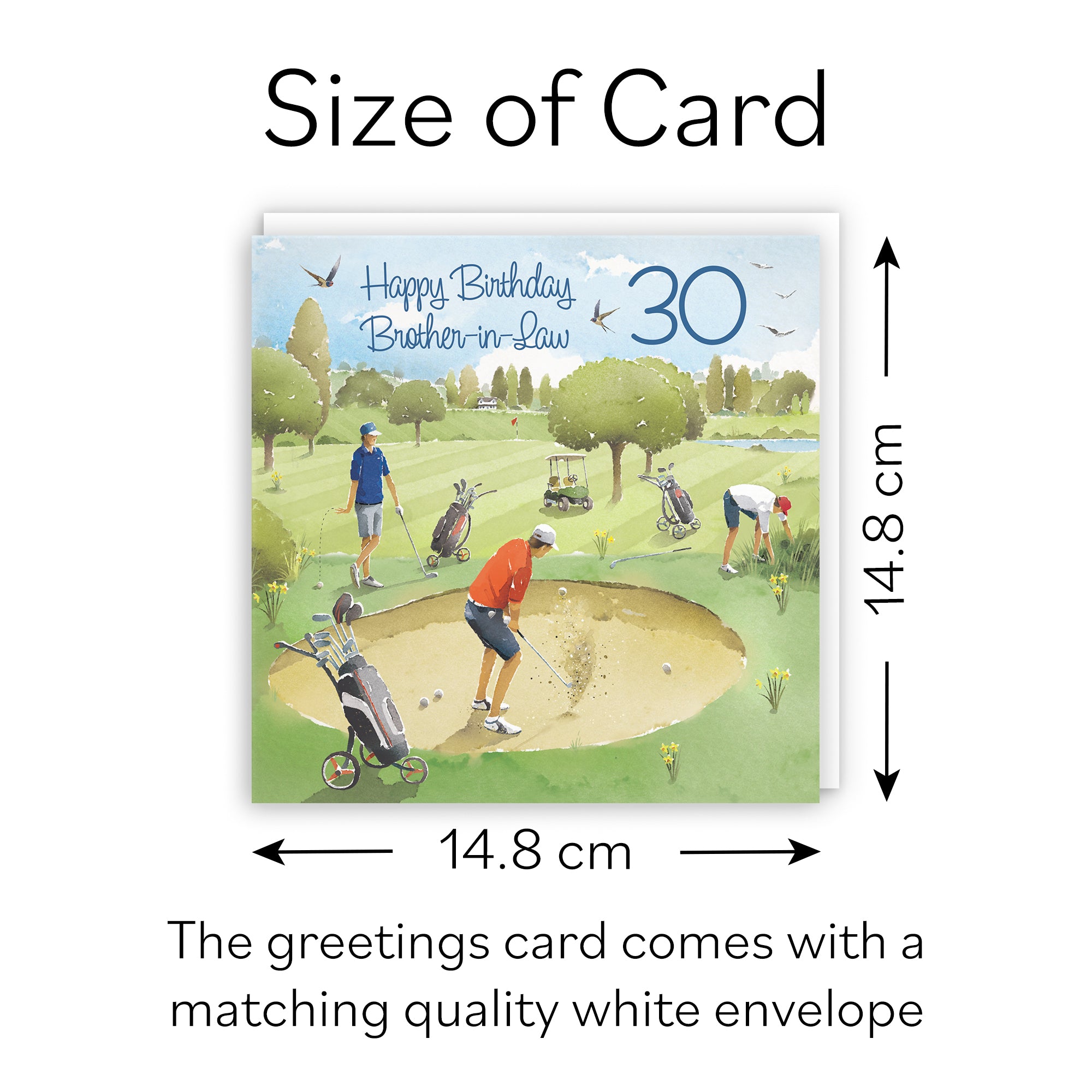 30th Brother-in-Law Golfing Birthday Card Golf Bunker Milo's Gallery