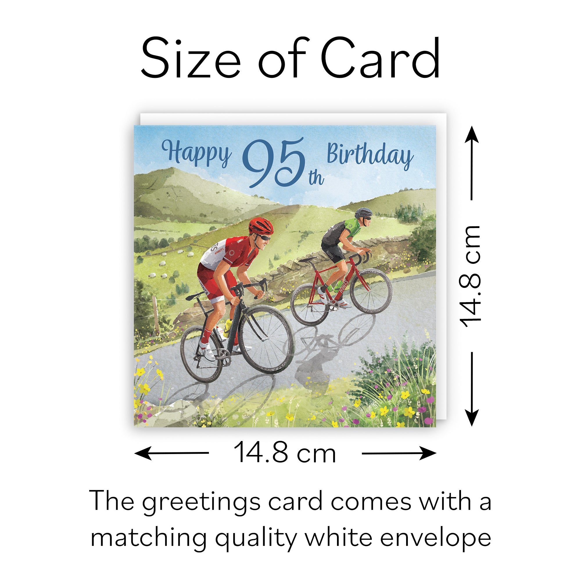 95th Birthday Card Road Cycling Milo's Gallery