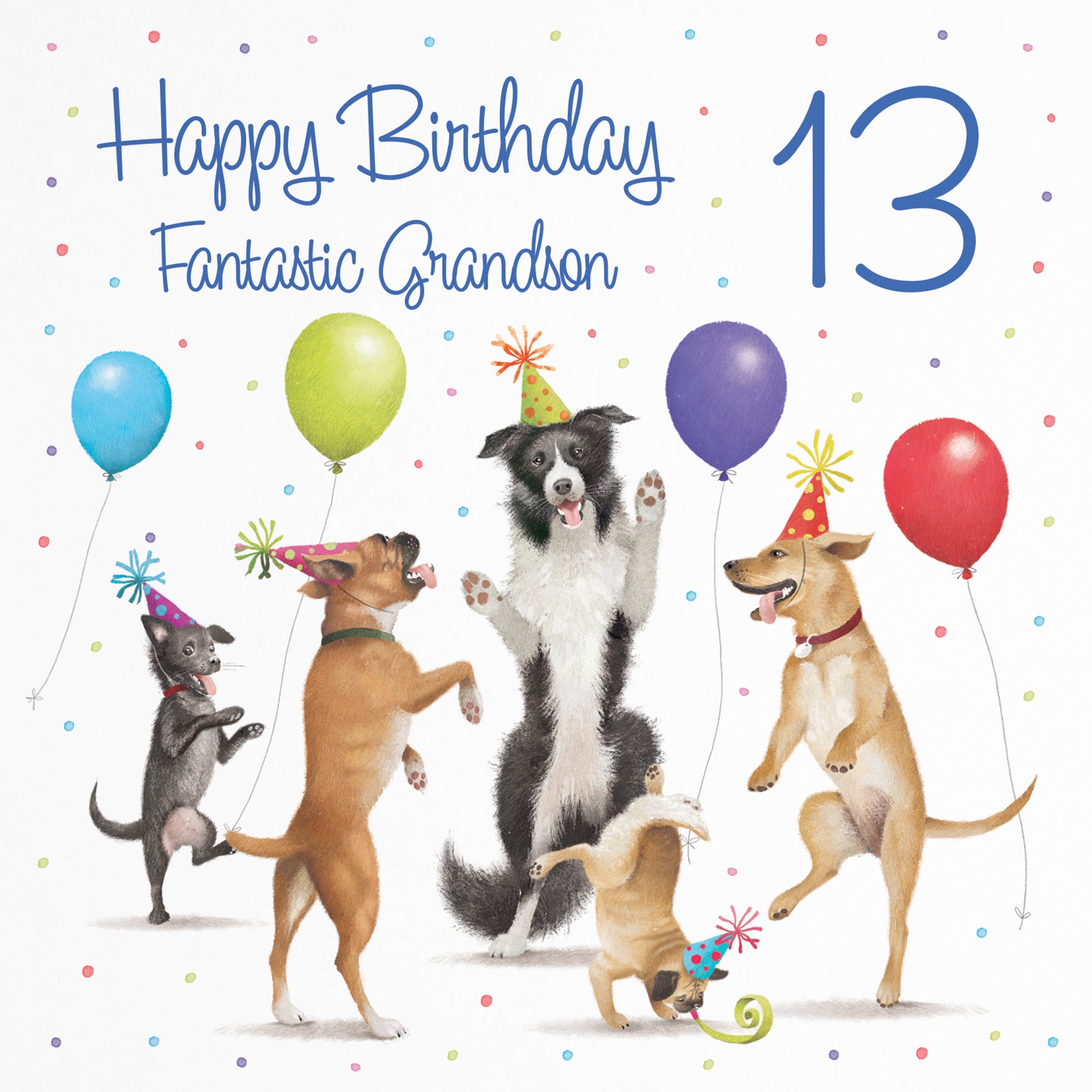 13th Grandson Birthday Card Dancing Dogs Milo's Gallery