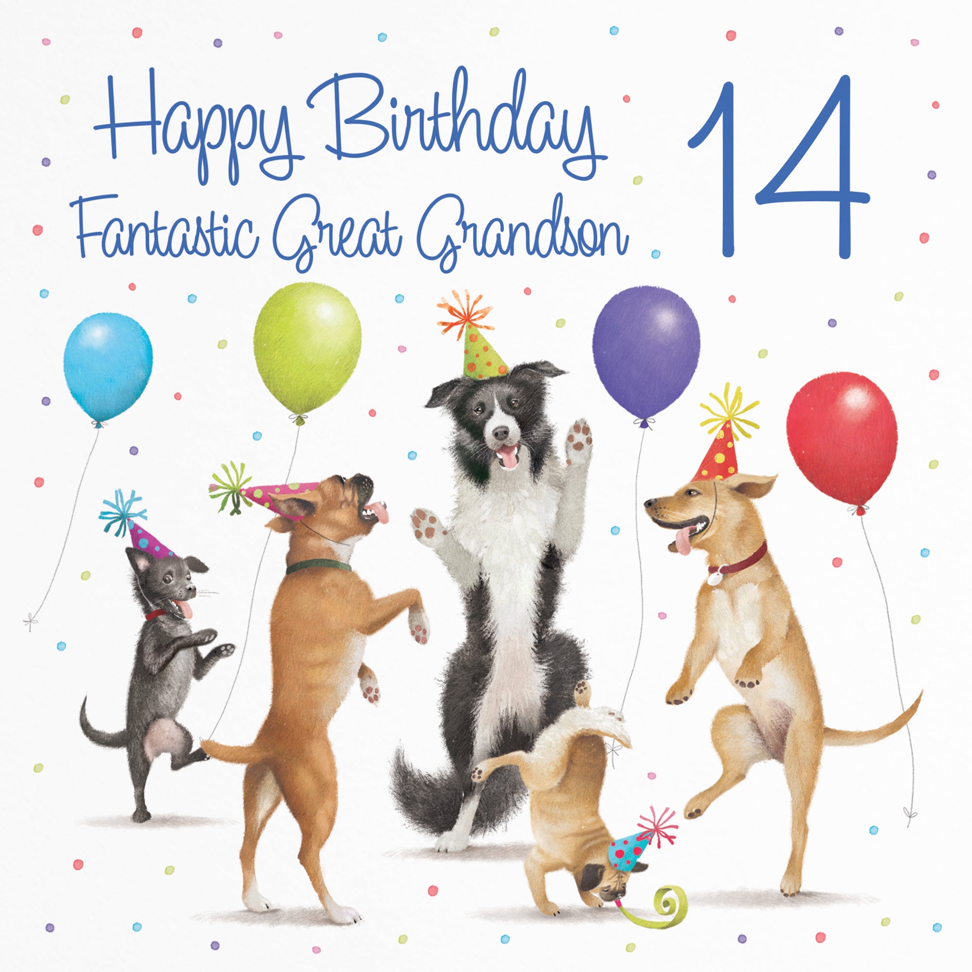 14th Great Grandson Birthday Card Dancing Dogs Milo's Gallery