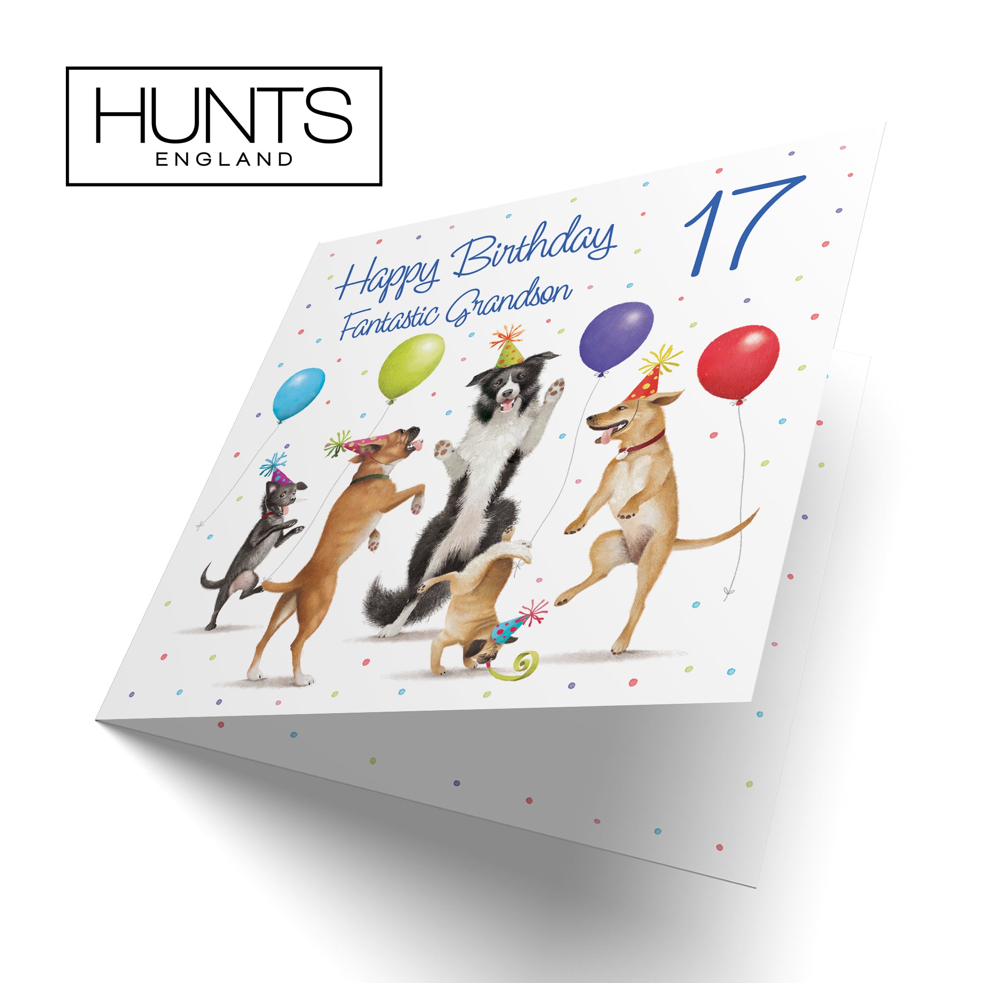17th Grandson Birthday Card Dancing Dogs Milo's Gallery