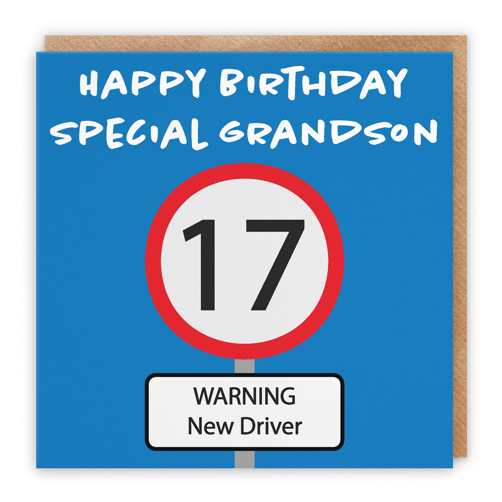 17th Grandson Birthday Card Road Sign