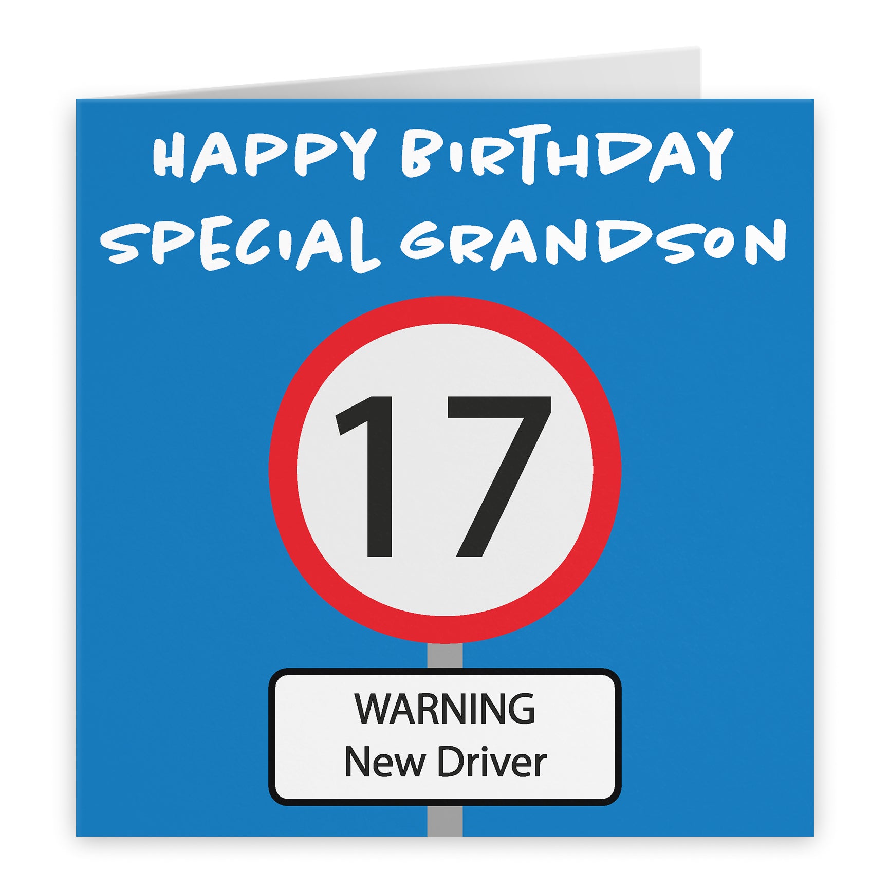 17th Grandson Birthday Card Road Sign