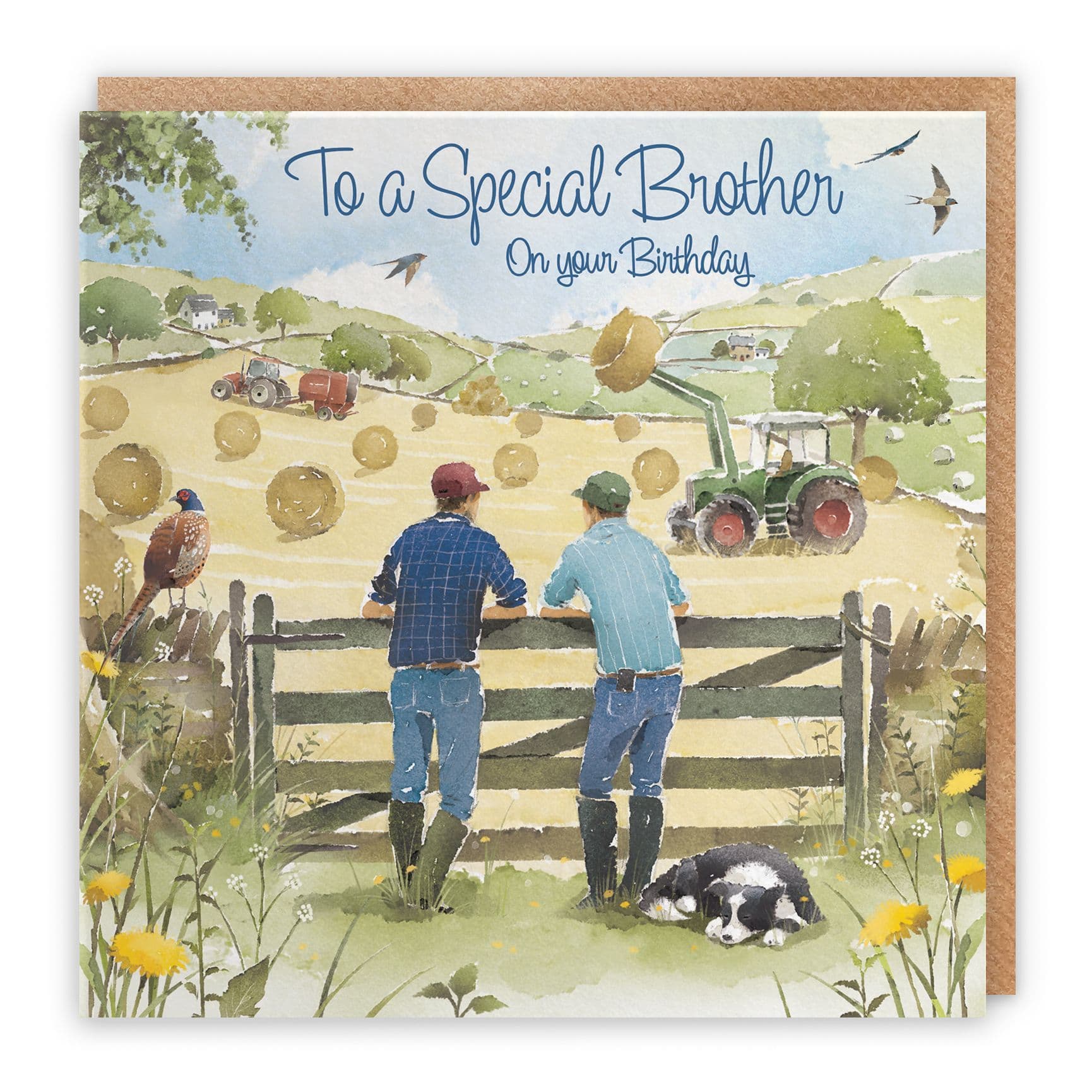 Brother Birthday Card Haymaking Milo's Gallery